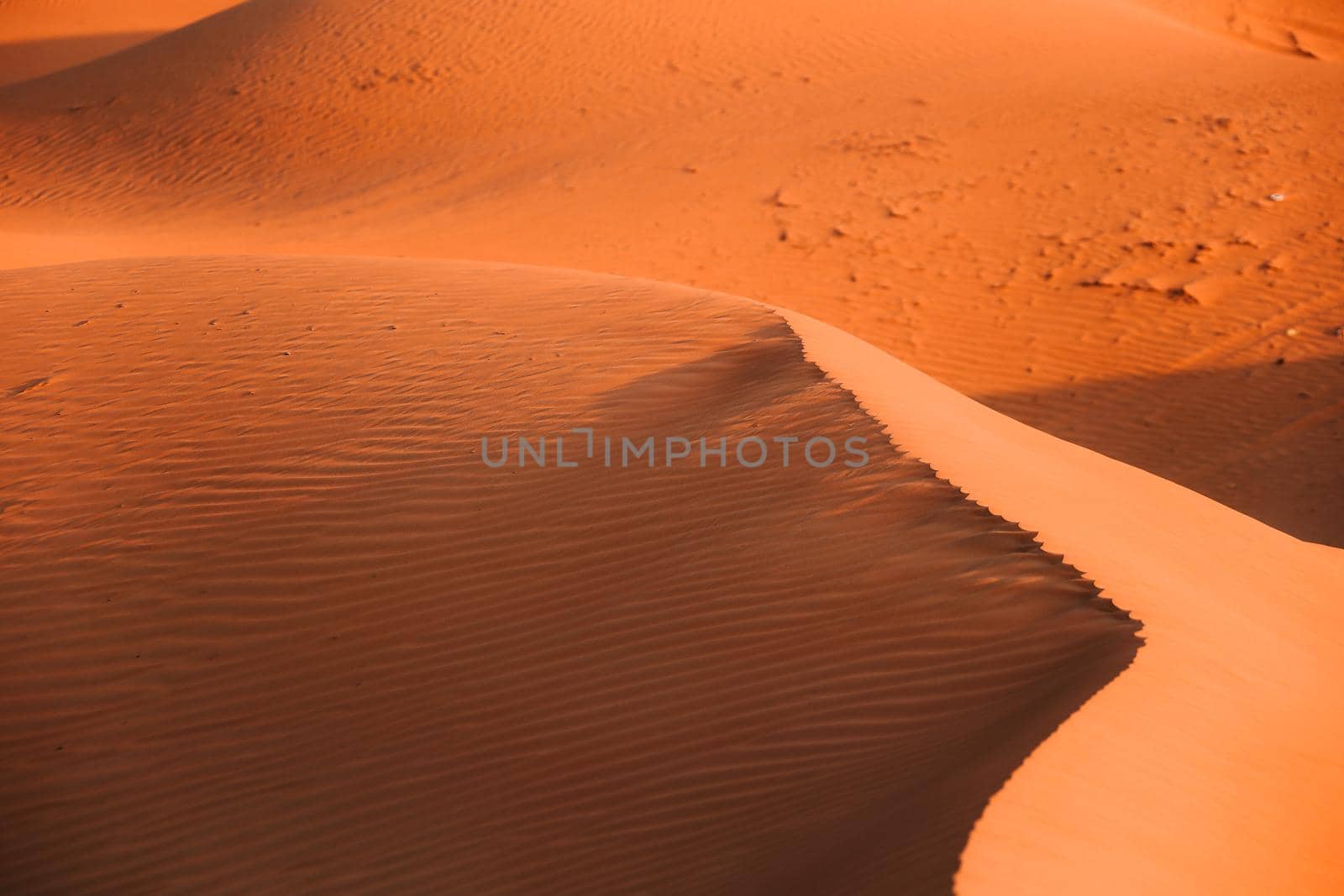 The Desert in Ras al Khaimah, United Arab Emirates, Asia  by Weltblick