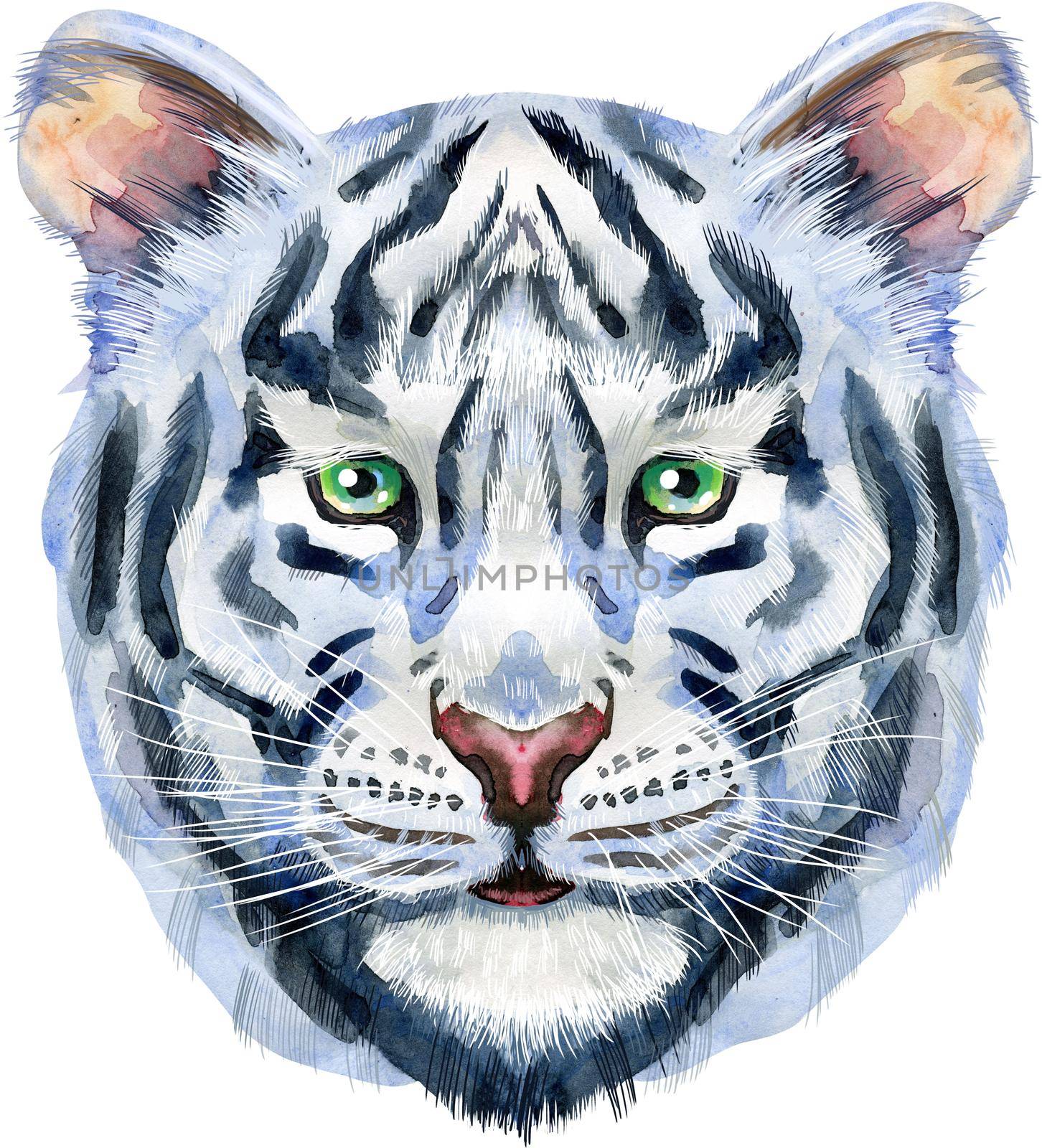 Watercolor illustration of white smiling tiger