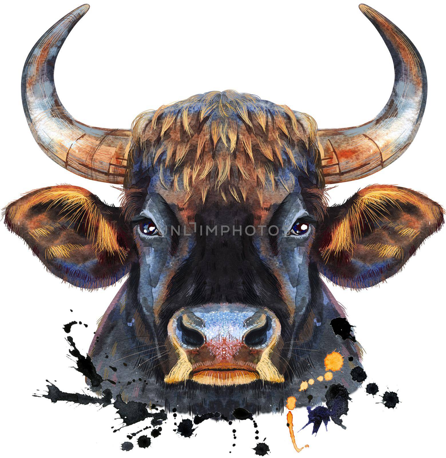 Watercolor illustration of black powerful bull with splashes by NataOmsk