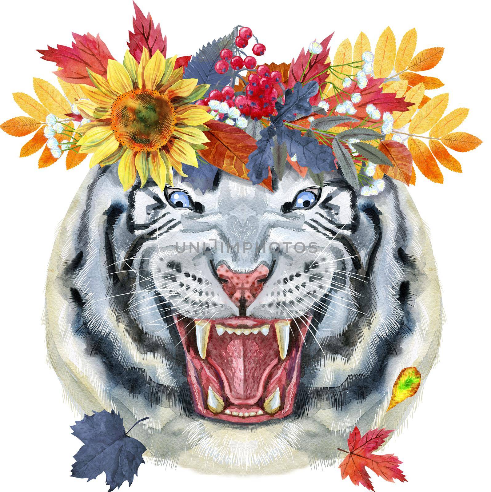 Colorful white smiling tiger in a wreath of autumn leaves. Wild animal watercolor illustration on white background by NataOmsk