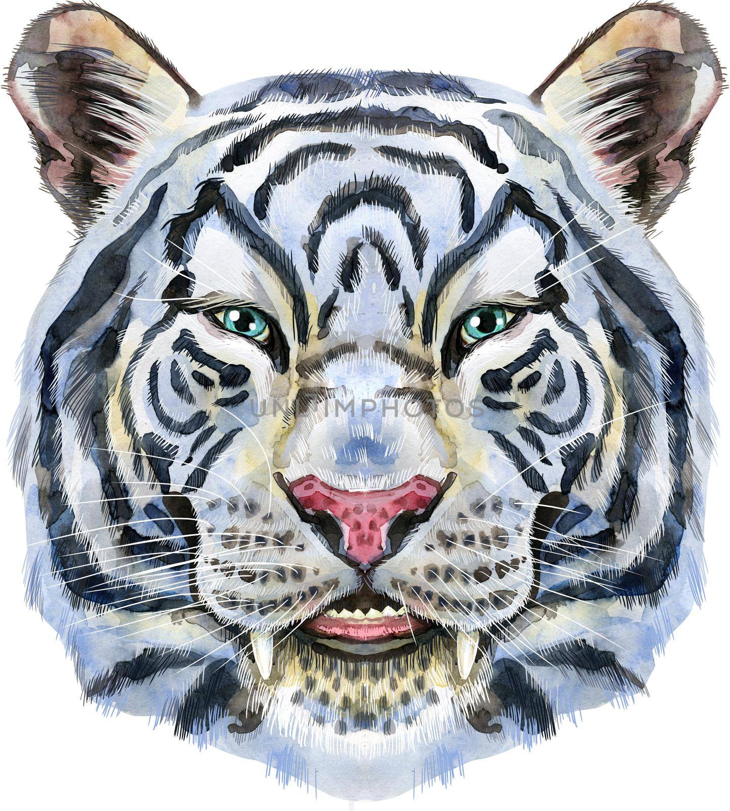 Colorful white smiling tiger. Wild animal watercolor illustration on white background by NataOmsk