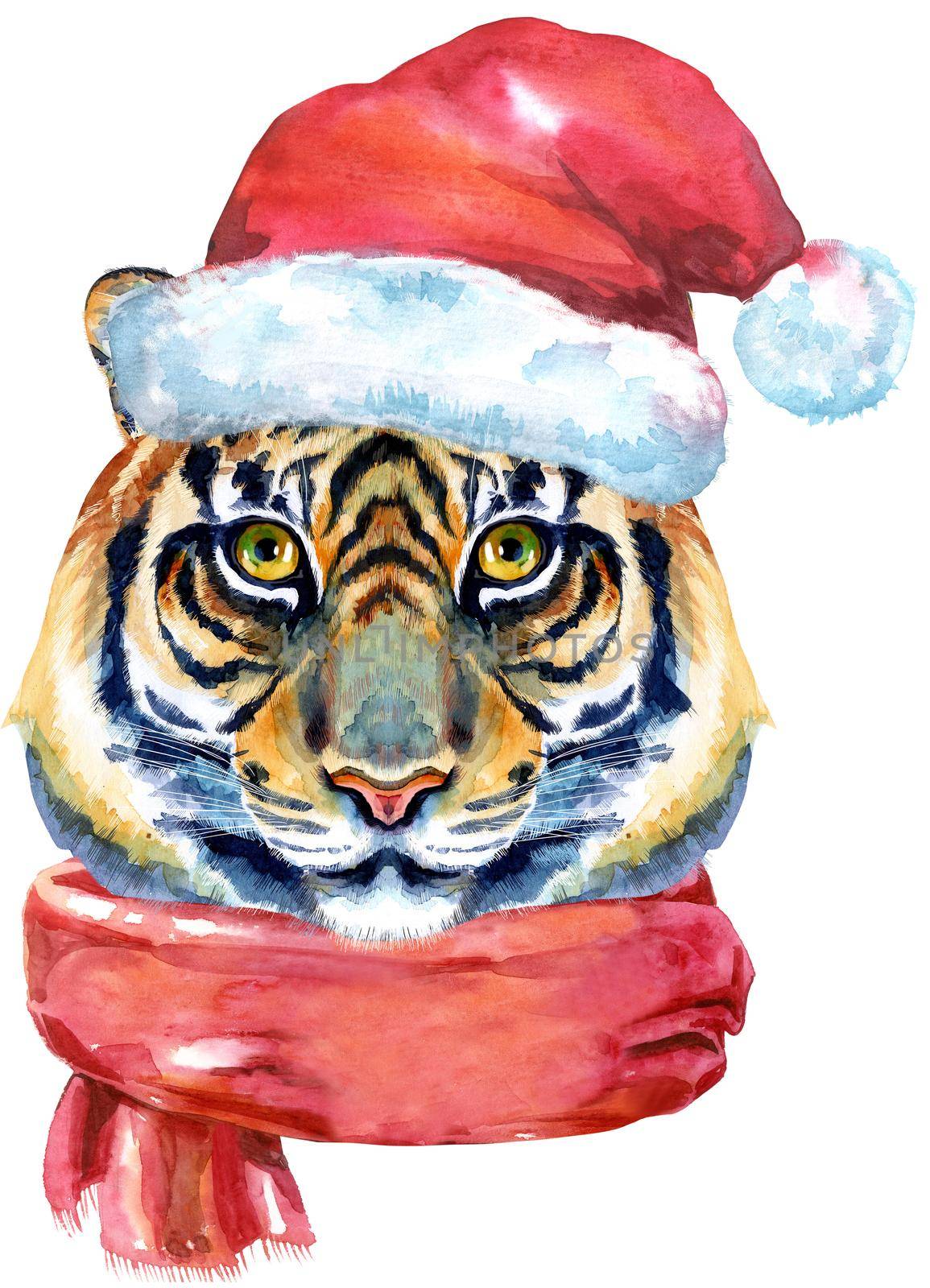 Tiger head in Santa Claus hat and red scarf isolated on white background.