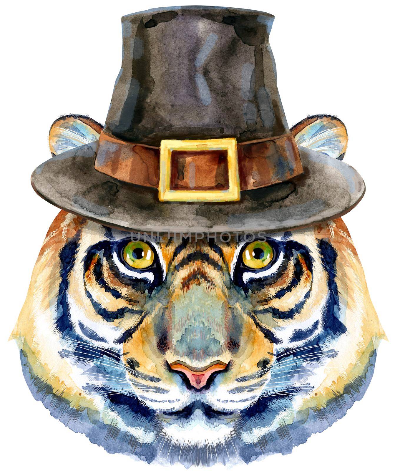 Tiger horoscope character watercolor illustration in the pilgrim's hat isolated on white background. by NataOmsk