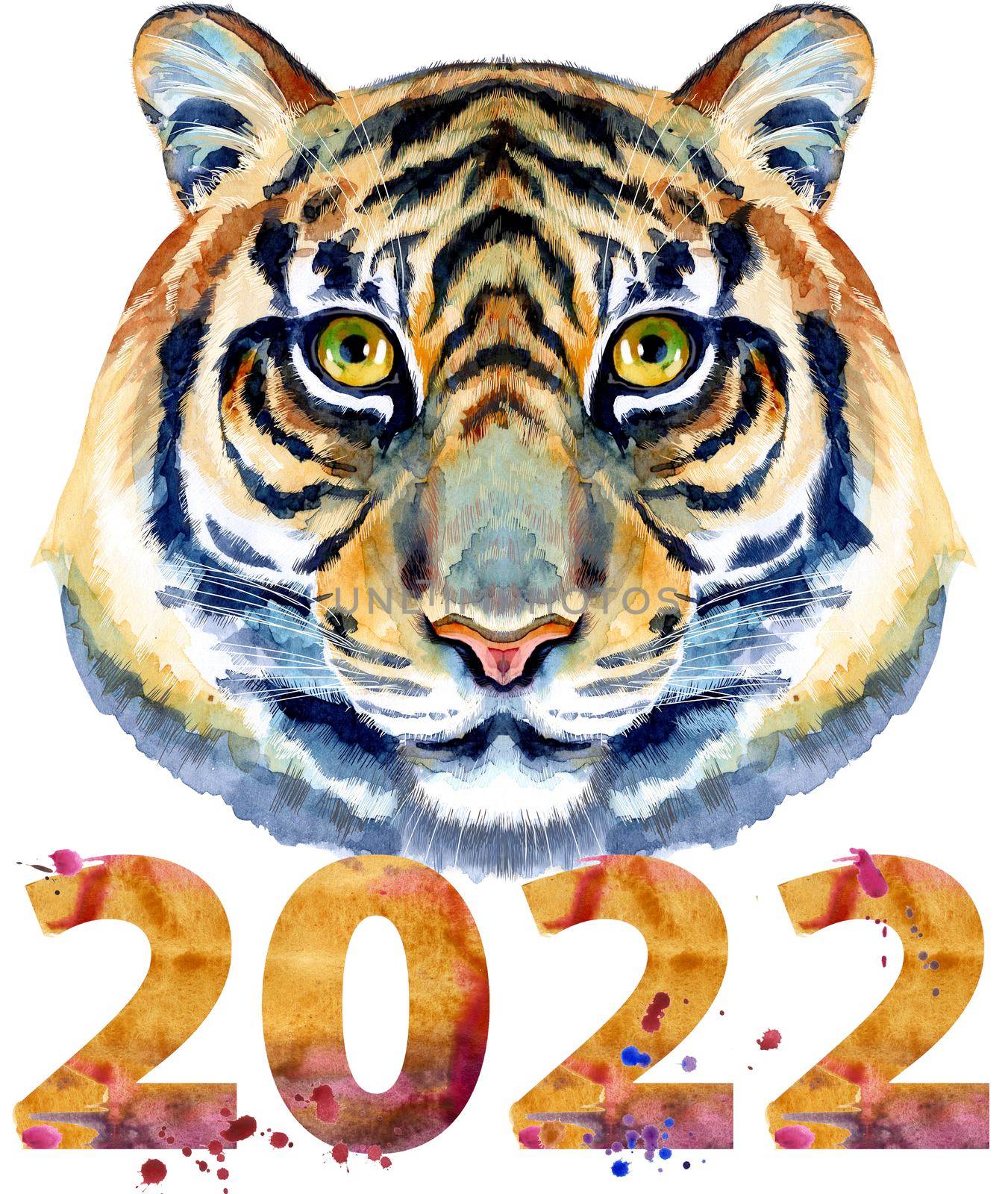 Tiger horoscope character watercolor illustration with number two thousand and twenty two isolated on white background. by NataOmsk