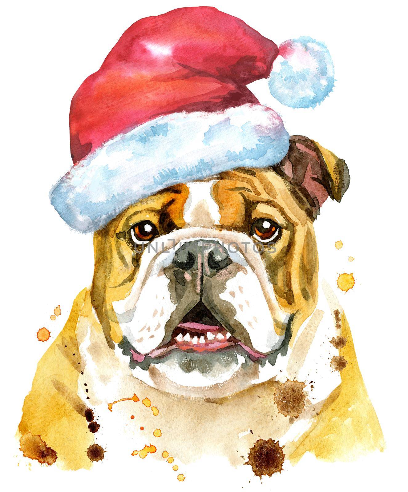 Watercolor portrait of bulldog with Santa hat by NataOmsk