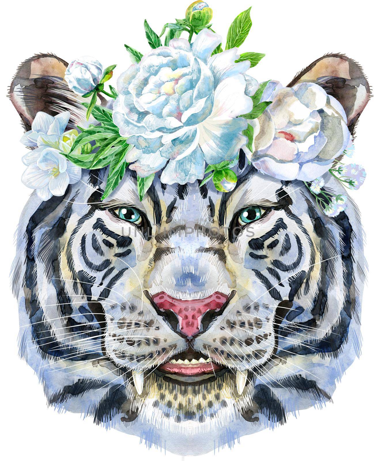 Colorful white tiger in a wreath of white flowers. Wild animal watercolor illustration on white background by NataOmsk