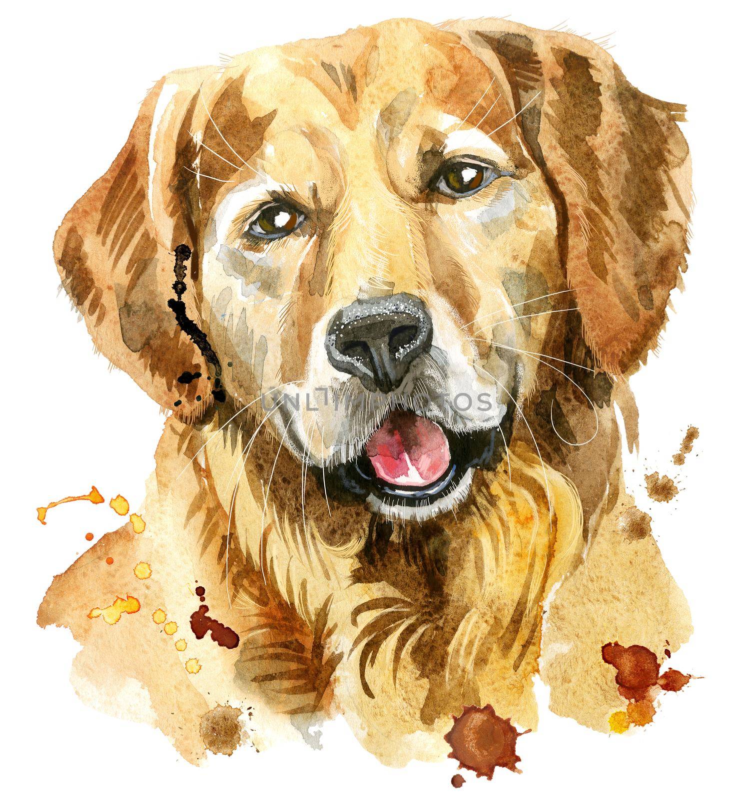 Watercolor portrait of golden retriever by NataOmsk