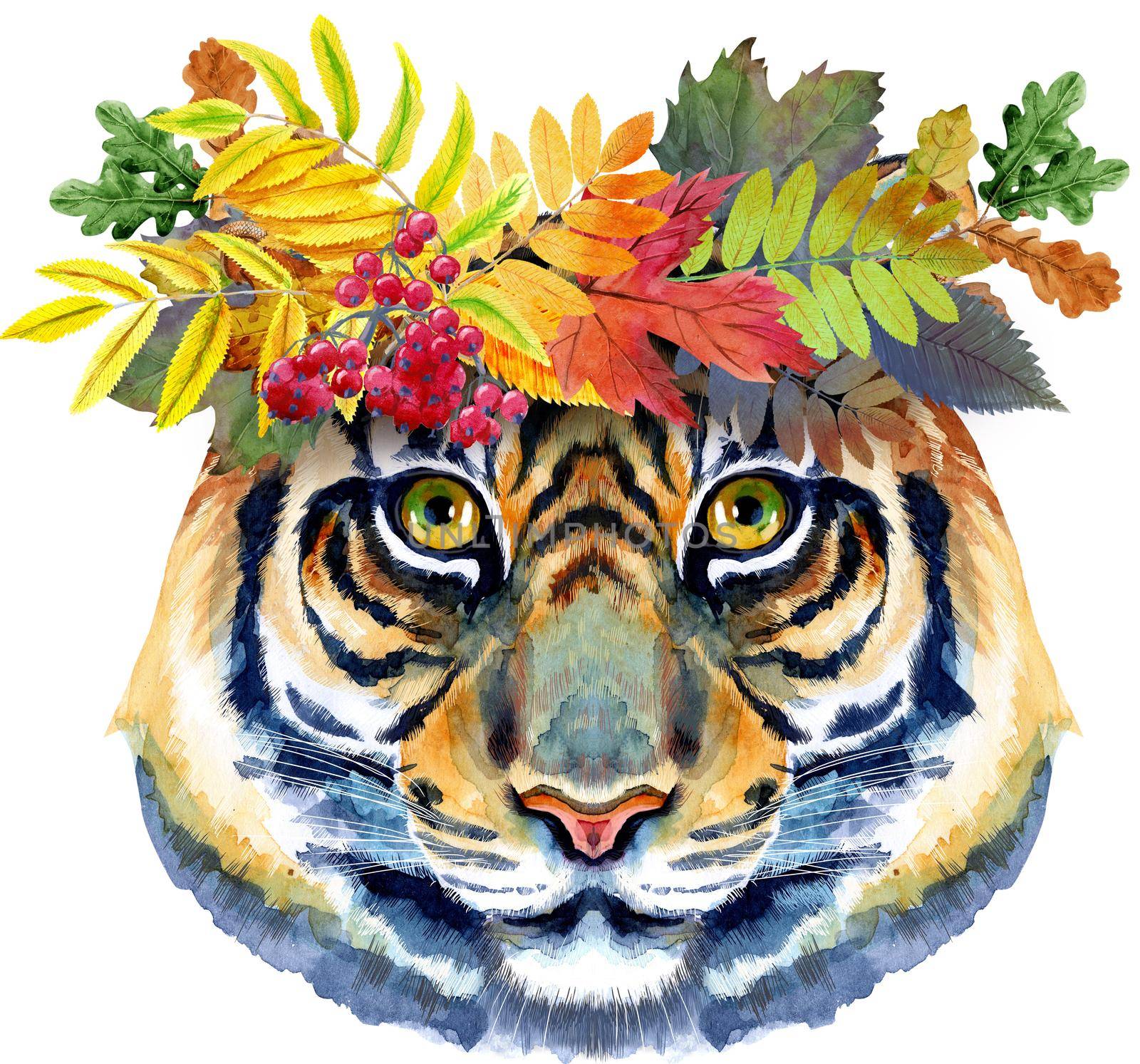 Tiger head in a wreath of autumn leaves. Horoscope character isolated on white background.