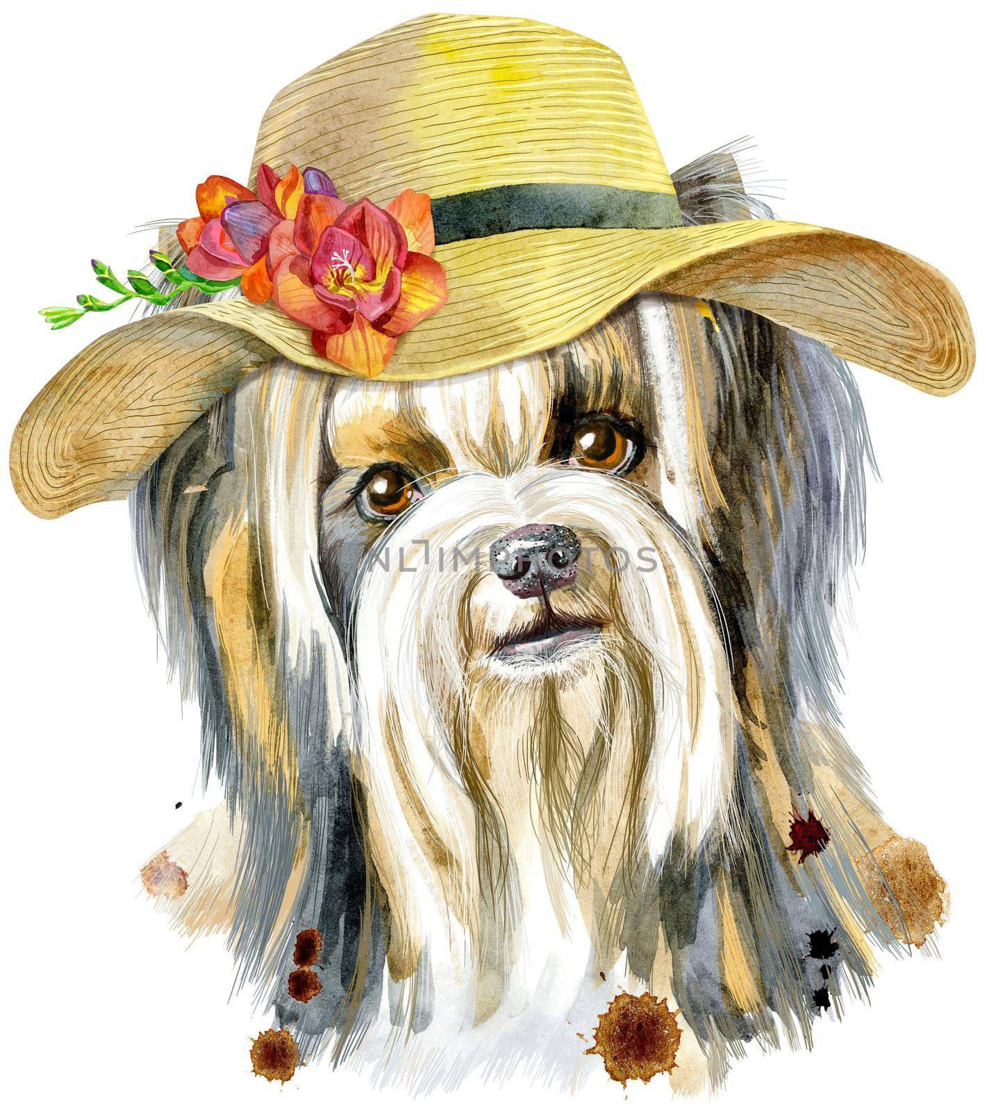 Dog, yorkie with summer hat on white background. Hand drawn sweet pet illustration.