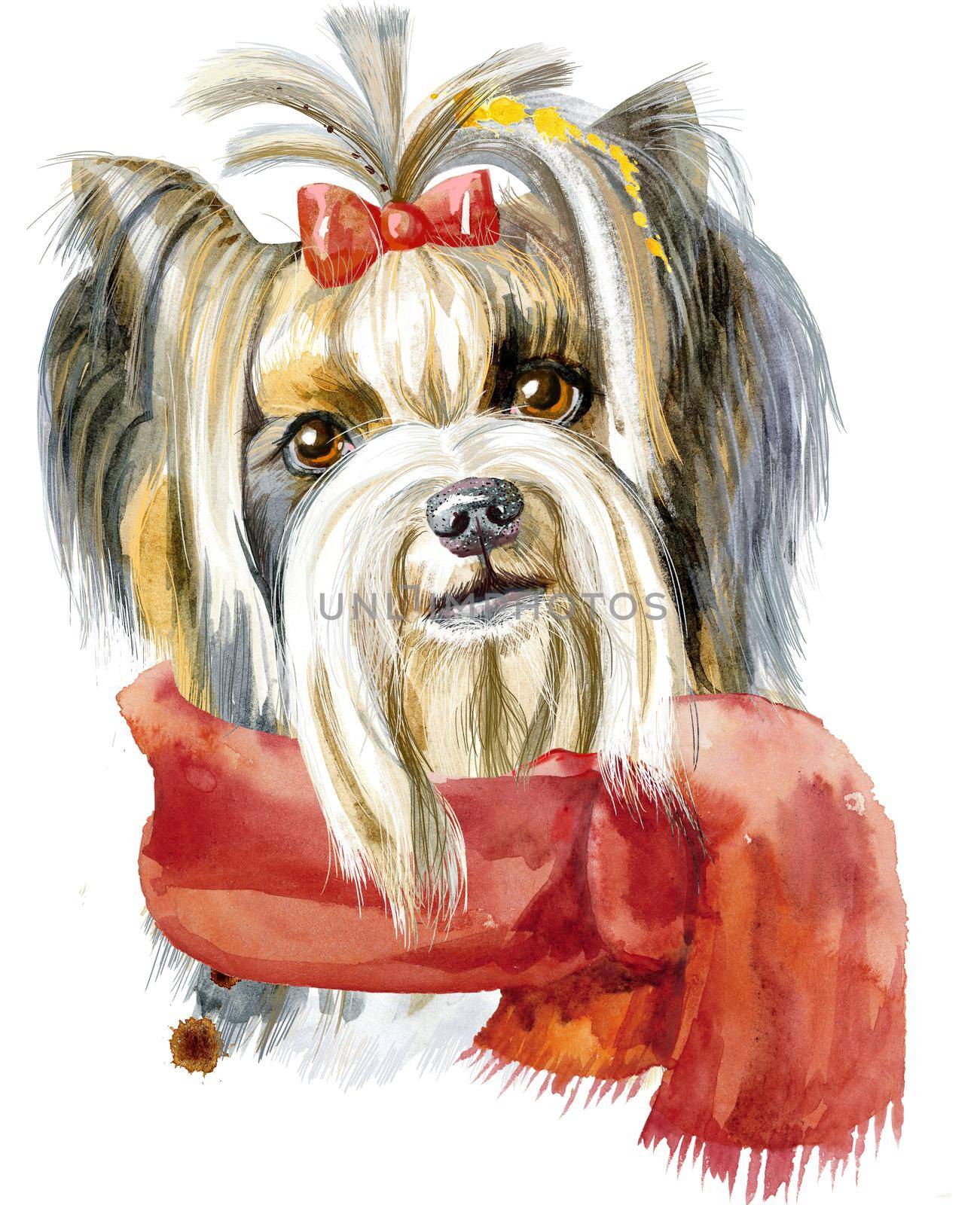 Dog, yorkie with red scarf on white background. Hand drawn sweet pet illustration.