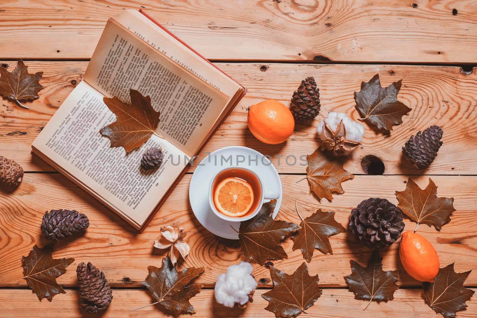 Reading a book in a cozy autumn day by golibtolibov