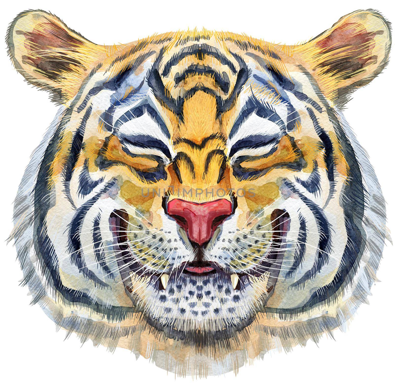 Colorful orange smiling tiger. Wild animal watercolor illustration on white background by NataOmsk