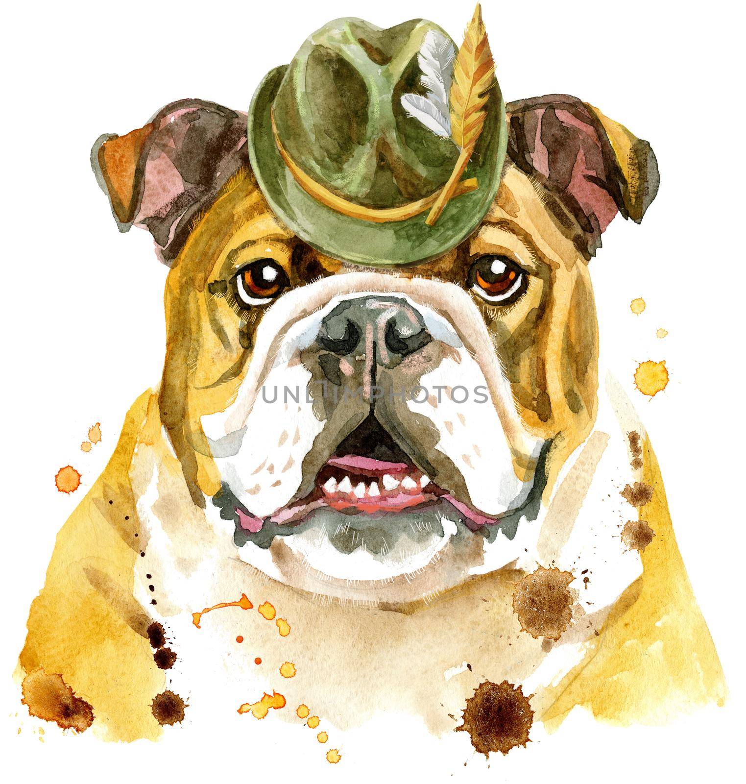Watercolor portrait of bulldog with green hat by NataOmsk