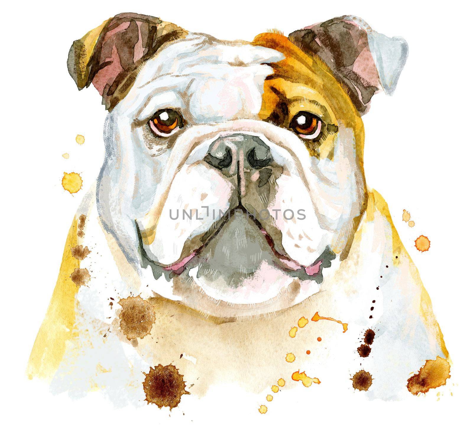 Watercolor portrait of bulldog by NataOmsk