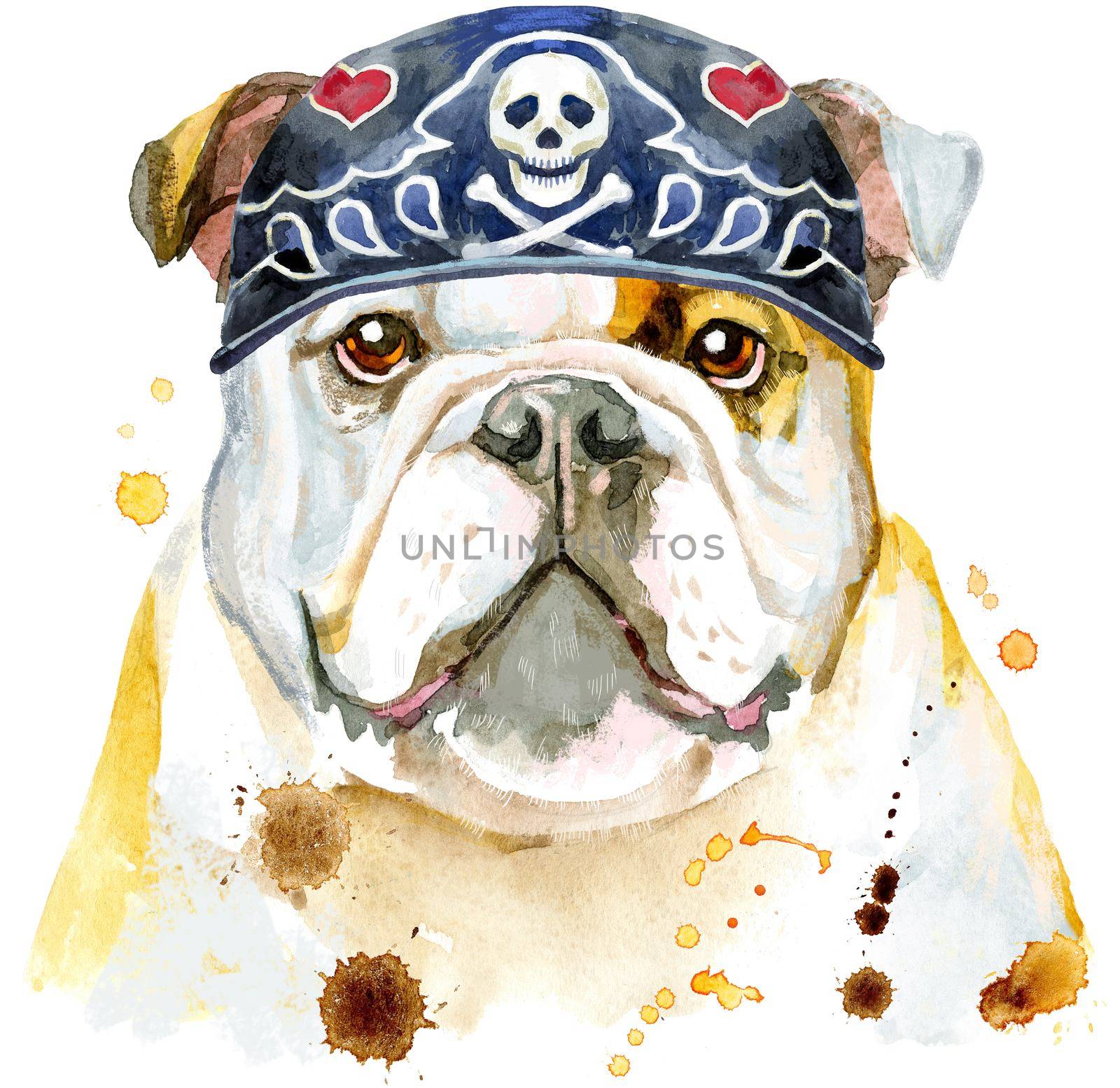 Watercolor portrait of bulldog wearing biker bandana by NataOmsk