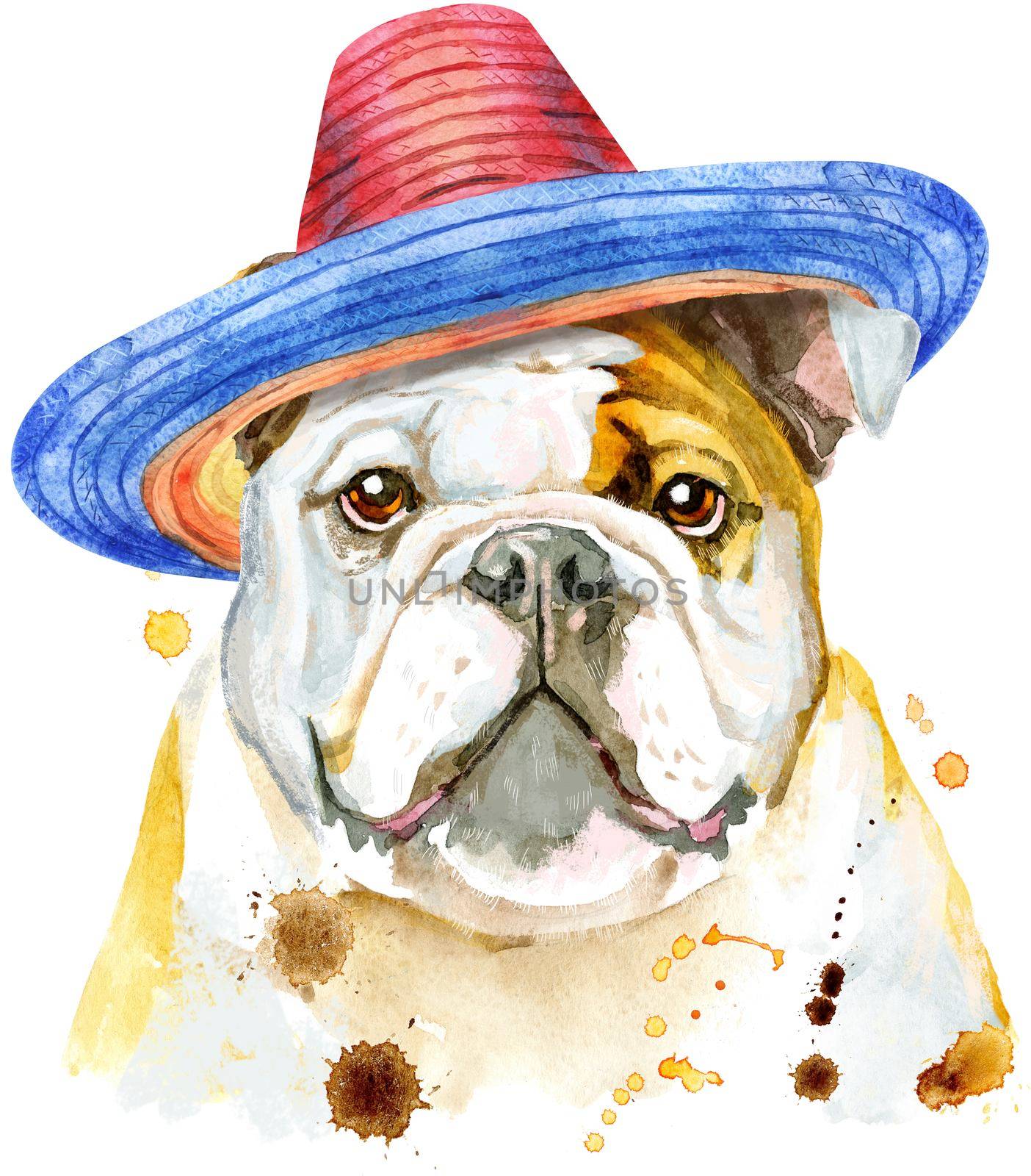 Watercolor portrait of bulldog in mexican hat by NataOmsk