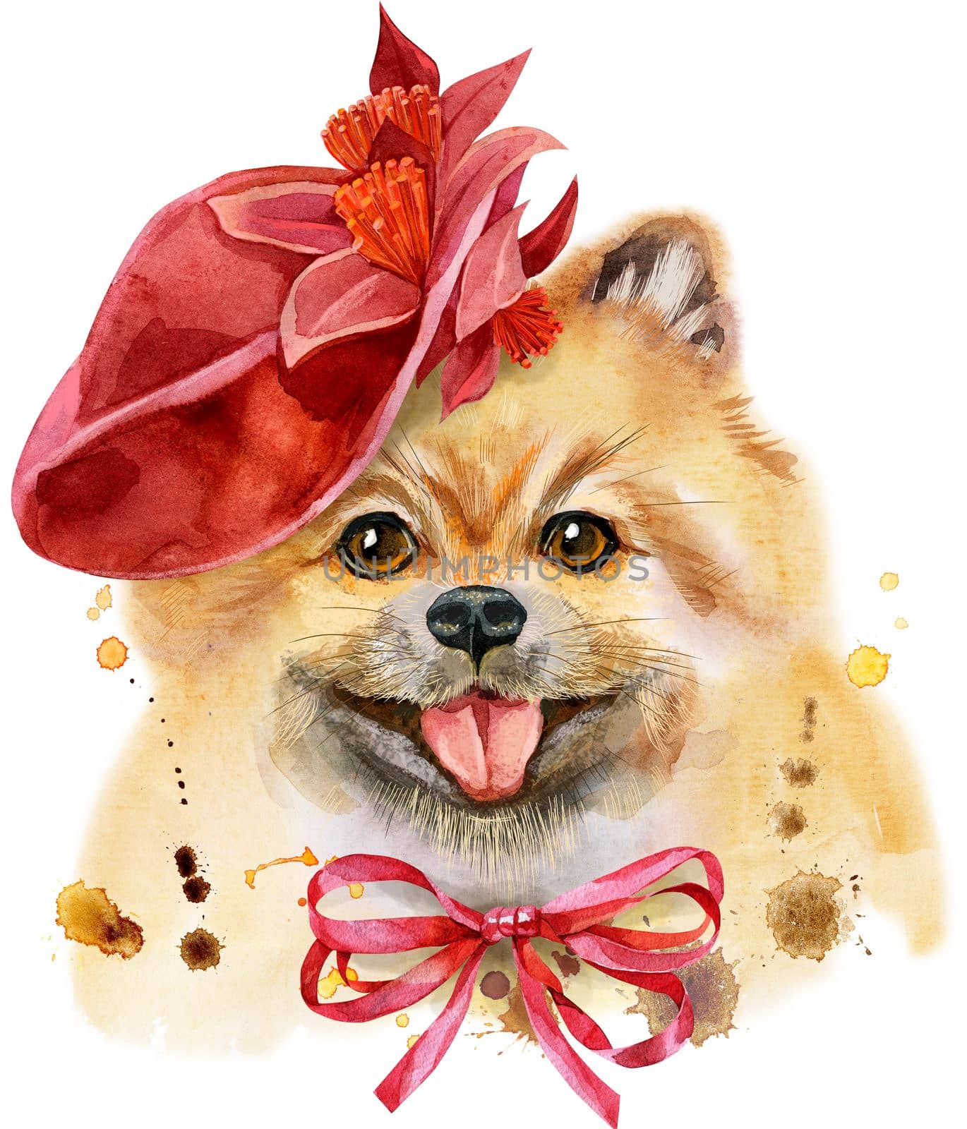 Watercolor portrait of dog pomeranian spitz in red hat with bow by NataOmsk