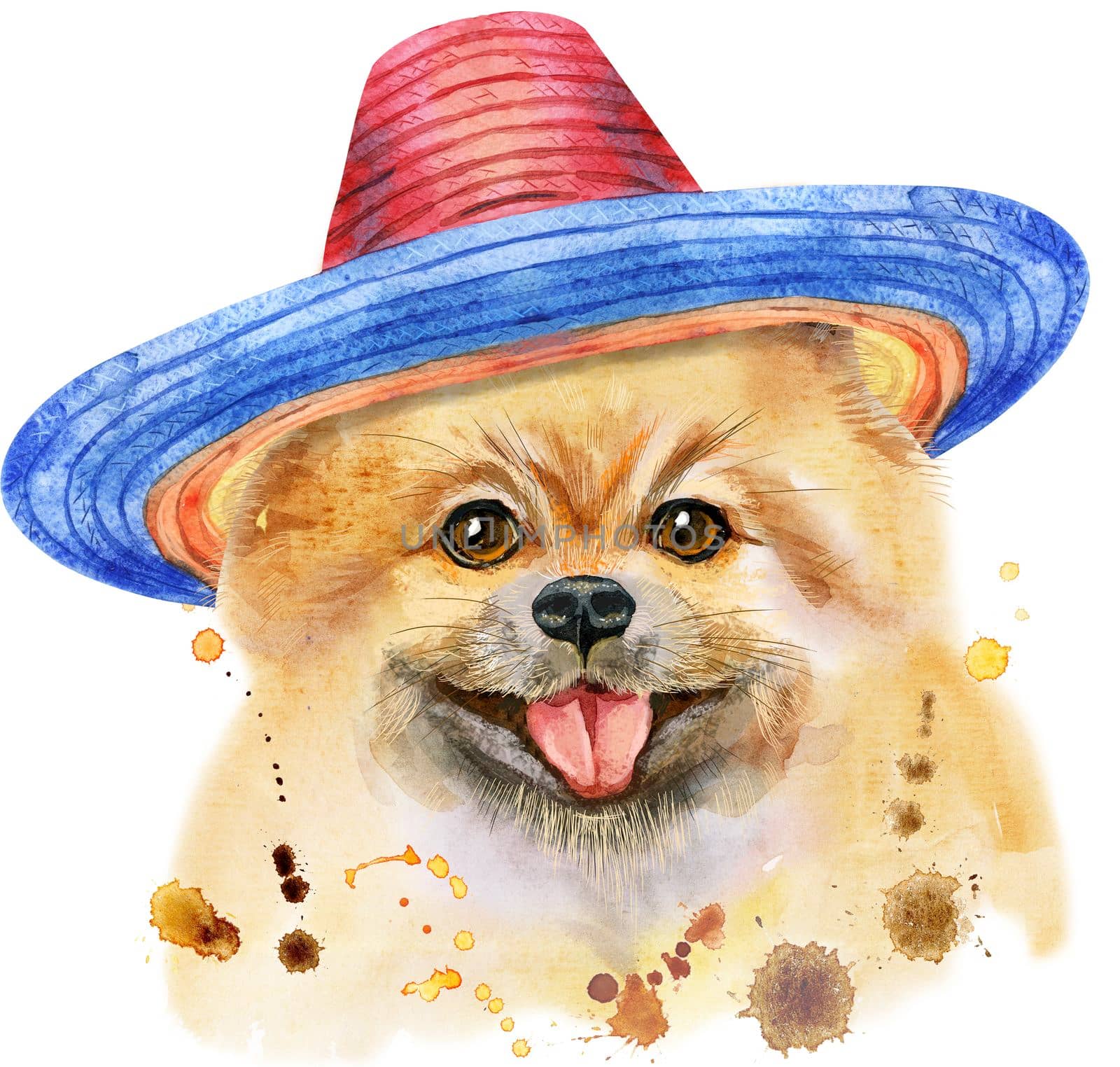 Watercolor portrait of dog pomeranian spitz in sombrero by NataOmsk