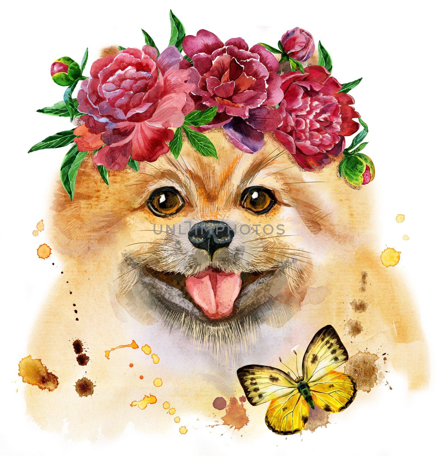 Watercolor portrait of dog pomeranian spitz with flowers by NataOmsk