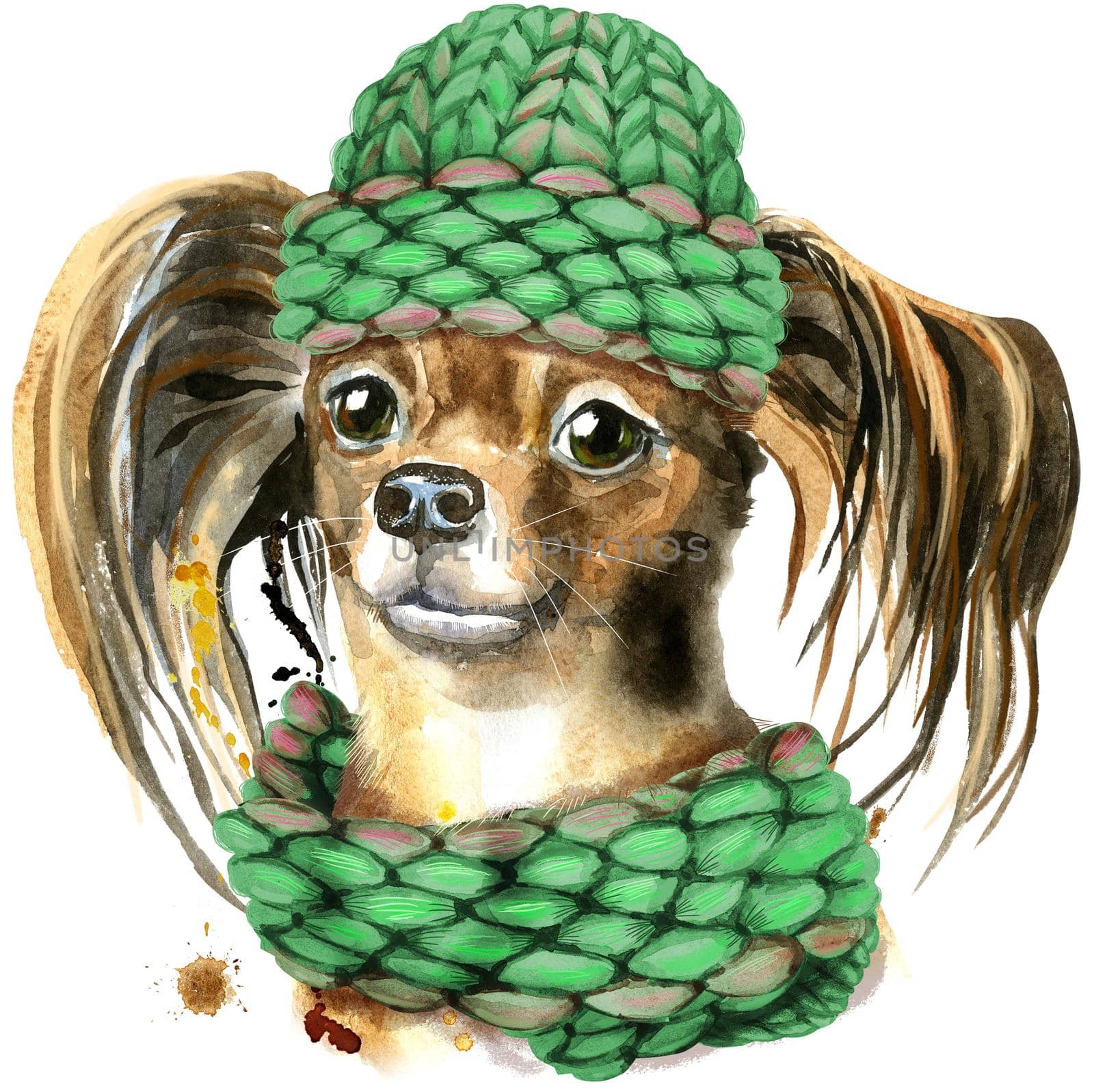 Cute Dog in a knitted green hat. Dog t-shirt graphics. watercolor toyl terrier illustration