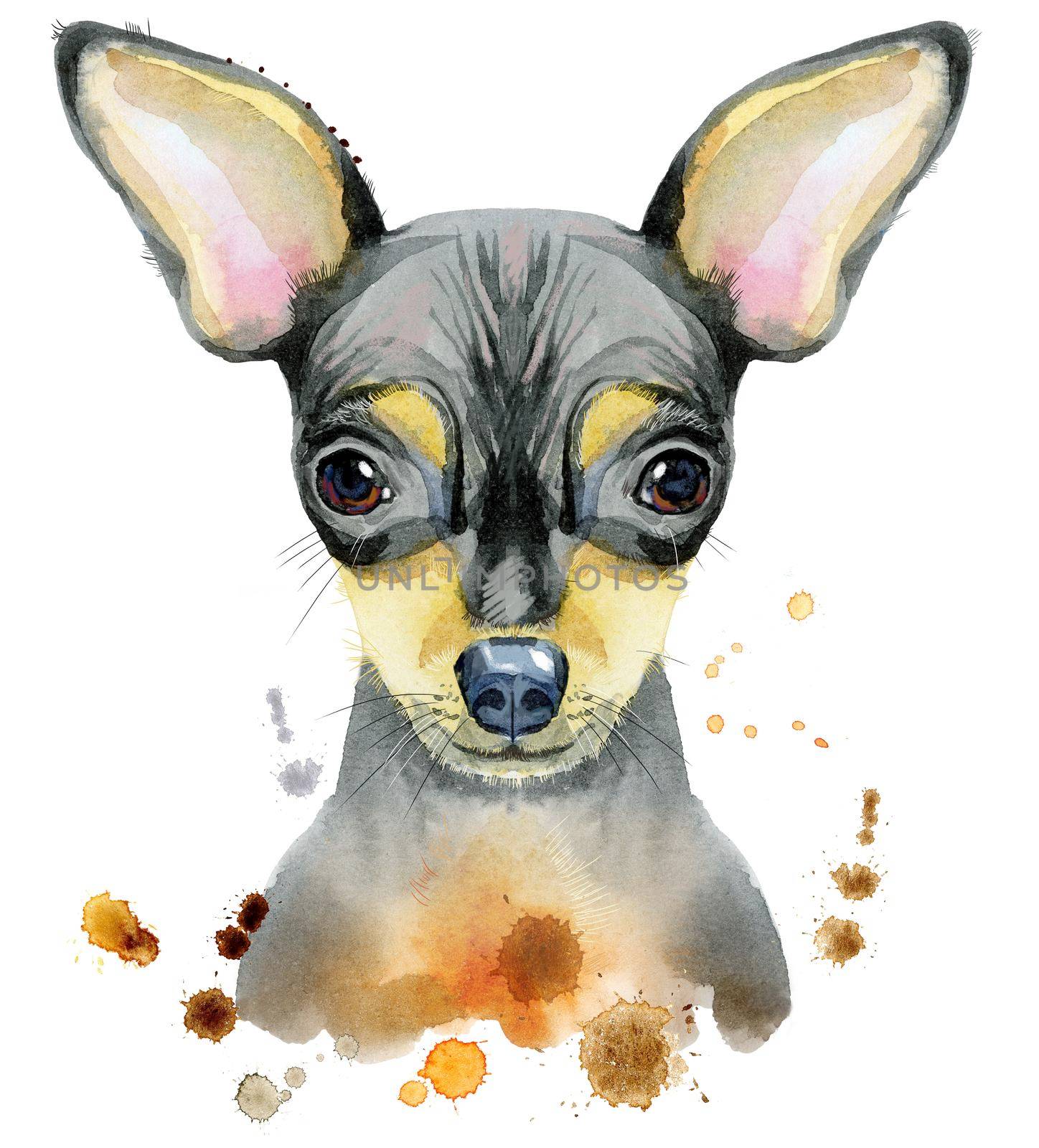 Cute Dog. Dog T-shirt graphics. watercolor toy terrier illustration