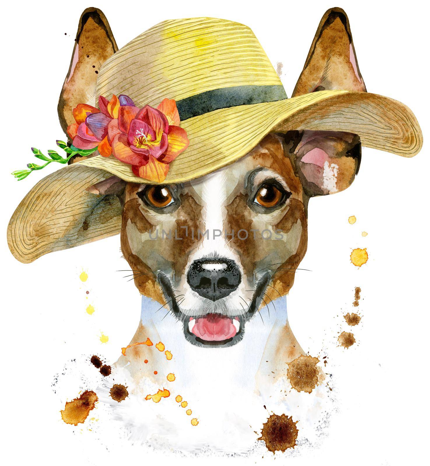 Cute Dog in summer hat. Dog T-shirt graphics. watercolor jack russell terrier illustration