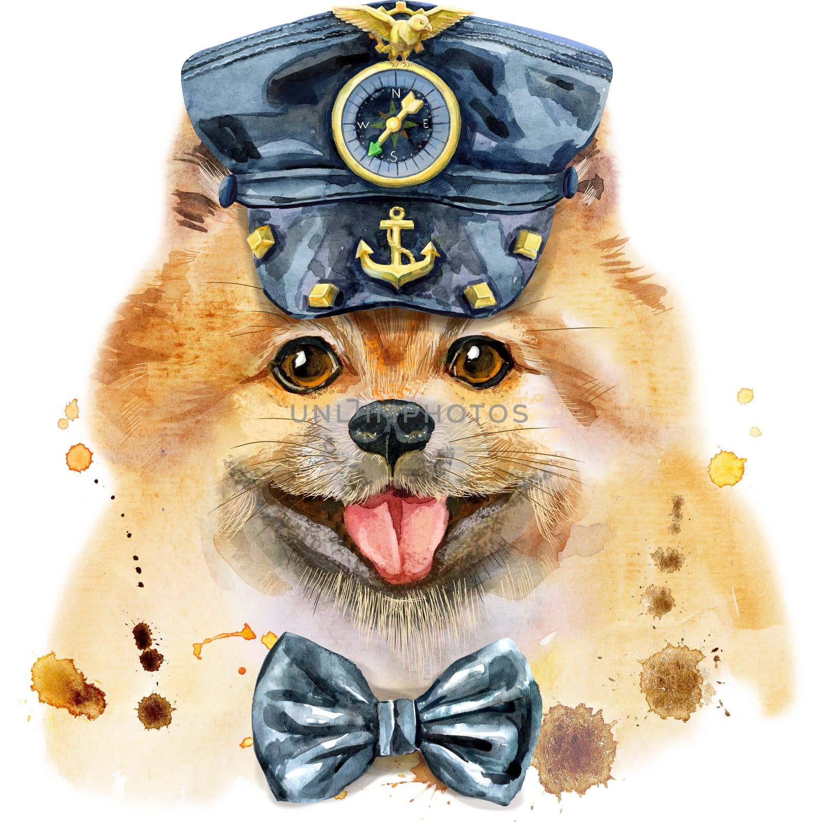 Cute dog in leather hat. Dog T-shirt graphics. watercolor pomeranian spitz illustration