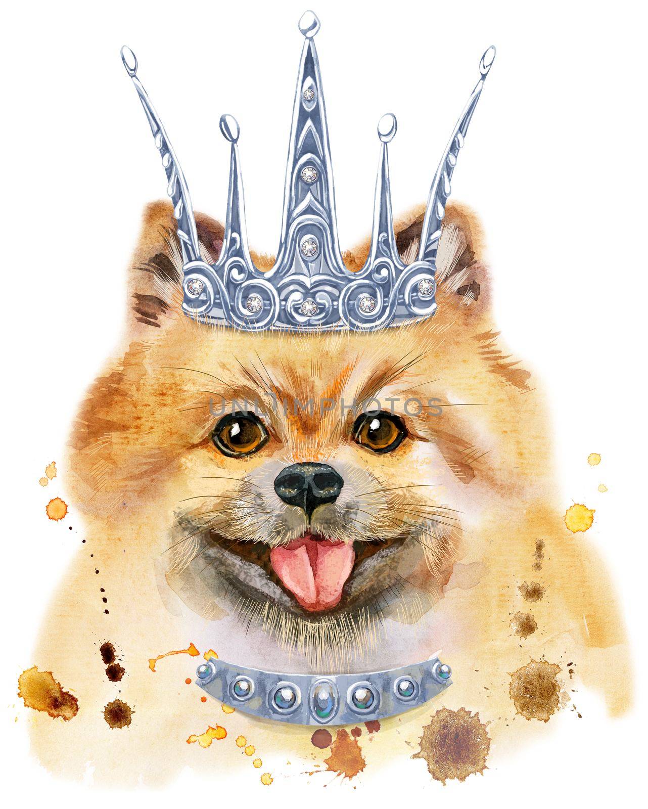 Cute Dog with silver crown. Dog T-shirt graphics. watercolor pomeranian spitz illustration