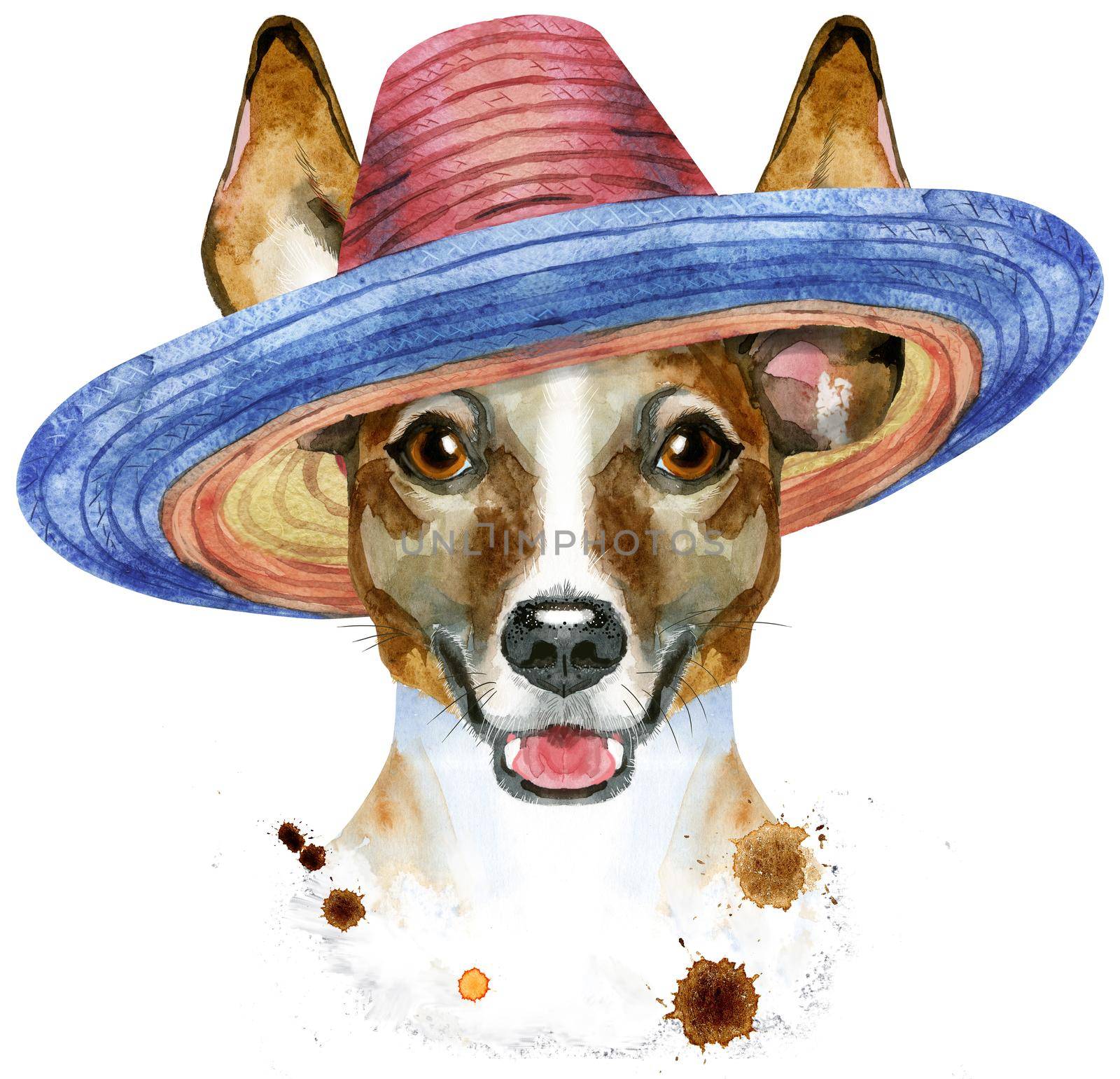 Cute Dog in mexican hat. Dog T-shirt graphics. watercolor jack russell terrier illustration