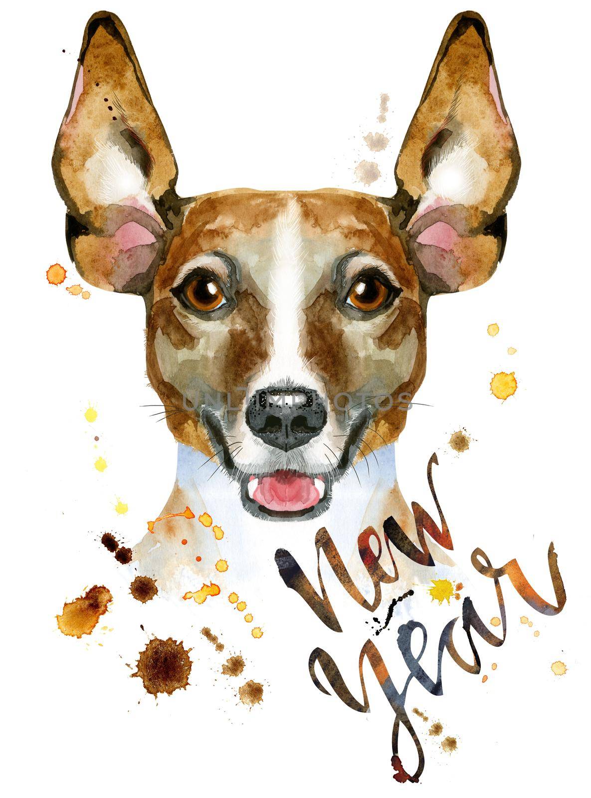 Watercolor portrait of jack russell terrier by NataOmsk