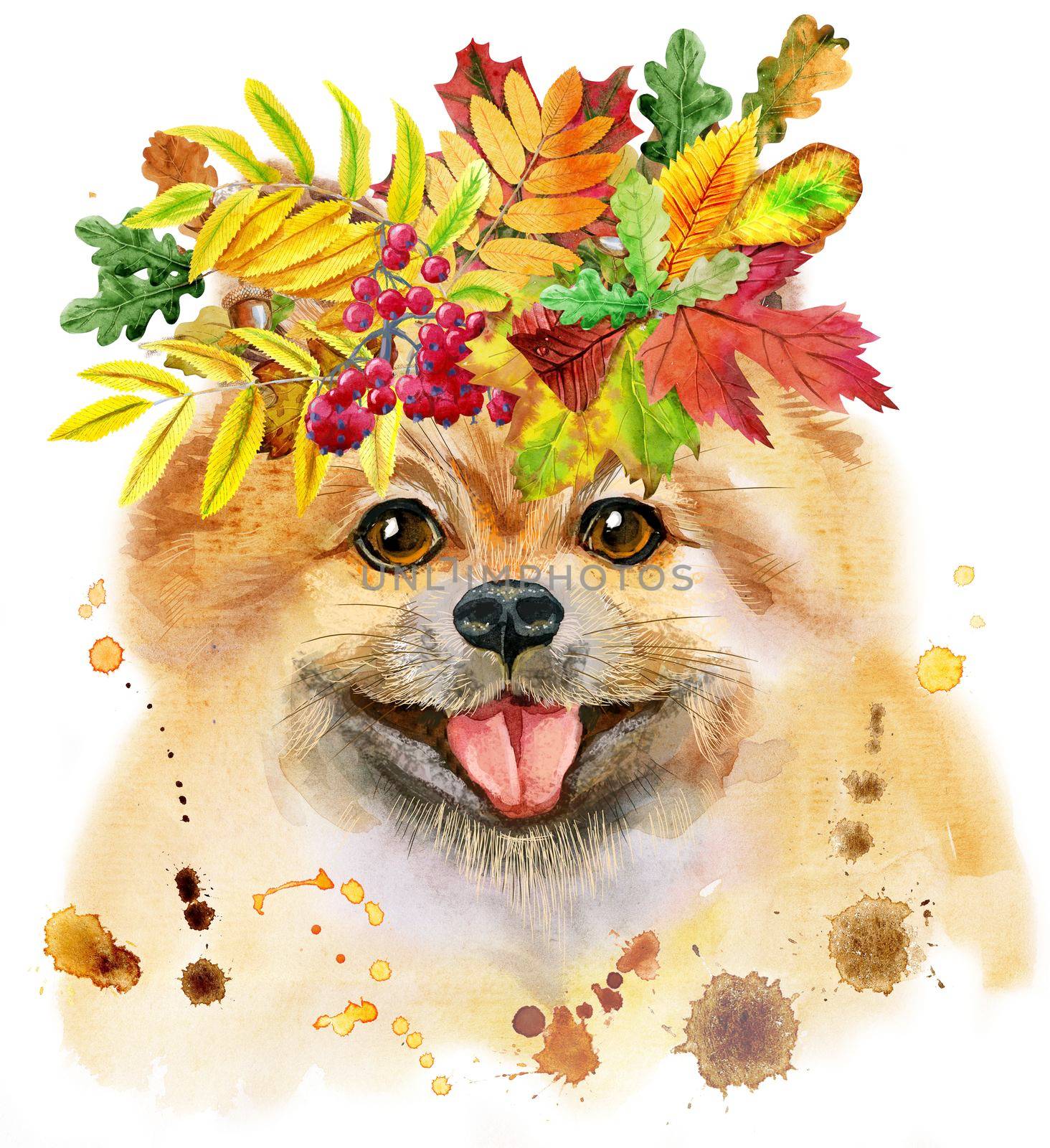 Watercolor portrait of dog pomeranian spitz with wreath of autumn leaves by NataOmsk