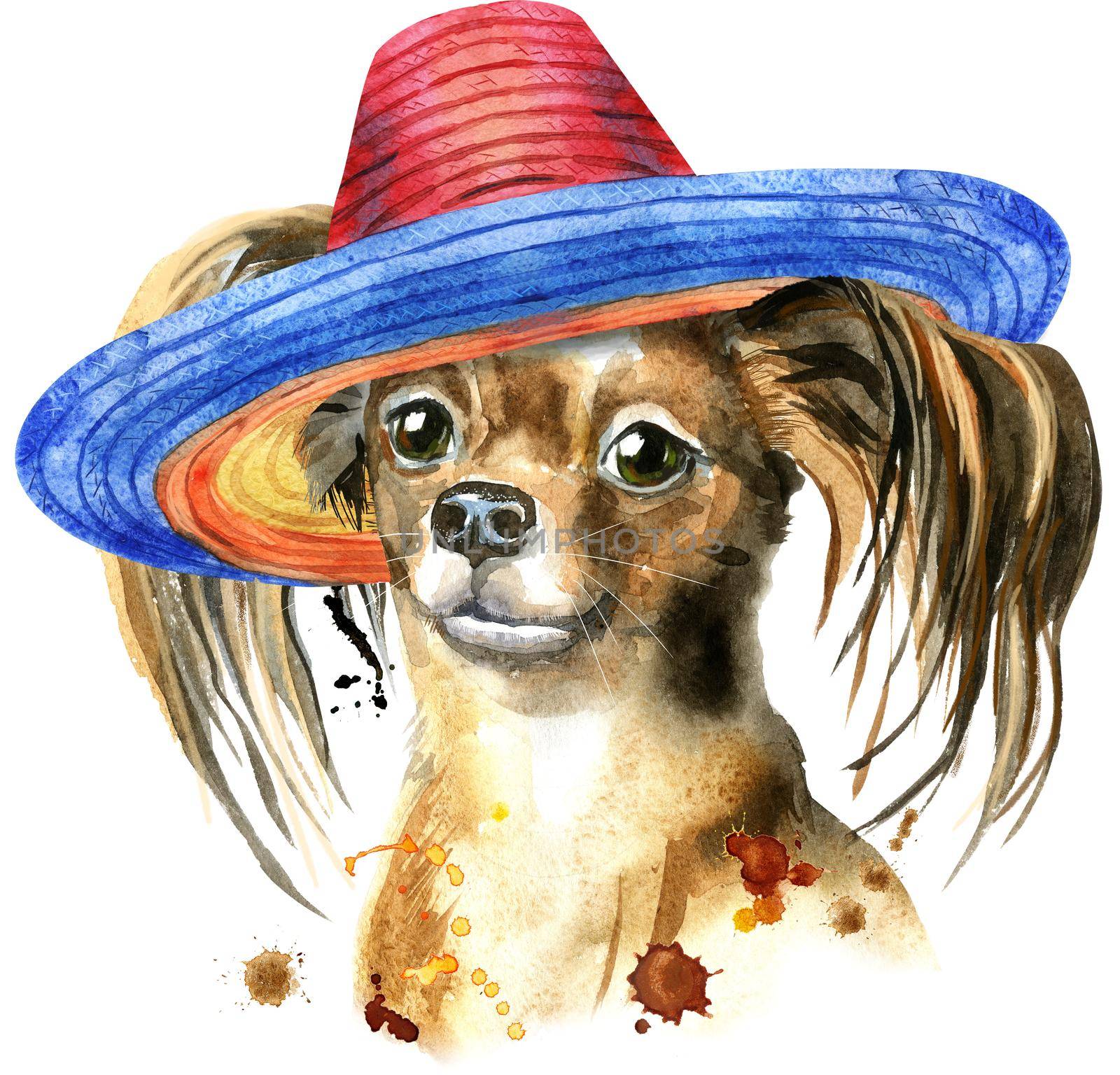 Watercolor portrait of long-haired toy terrier with sombrero by NataOmsk