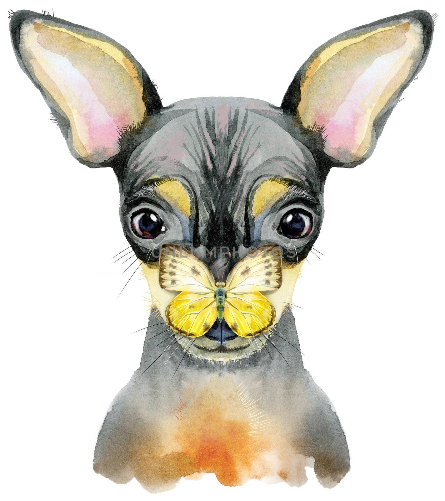 Cute Dog with butterfly on its nose. Dog T-shirt graphics. watercolor toy terrier illustration