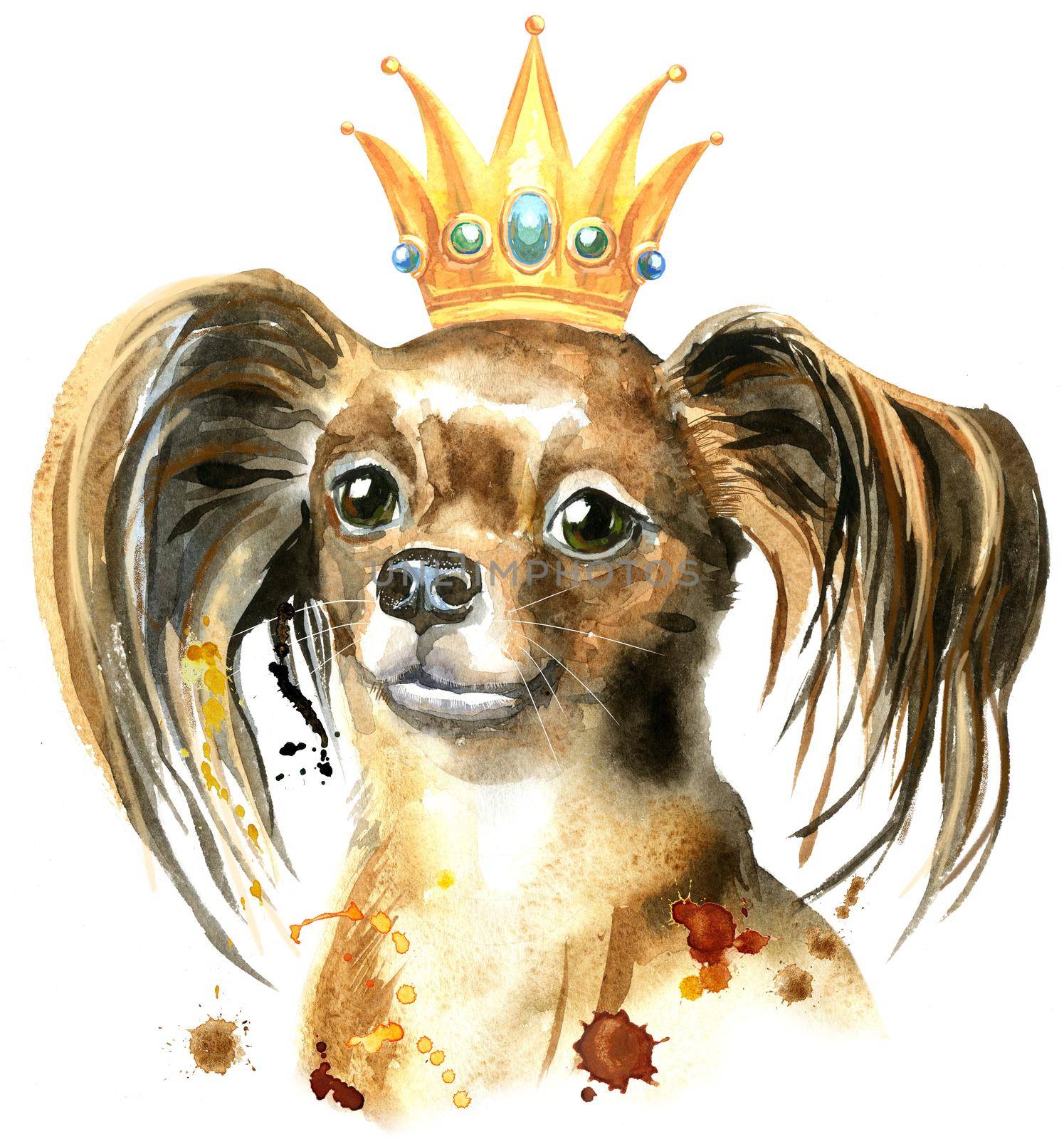 Cute Dog. Dog T-shirt graphics. watercolor toyl terrier with crown illustration