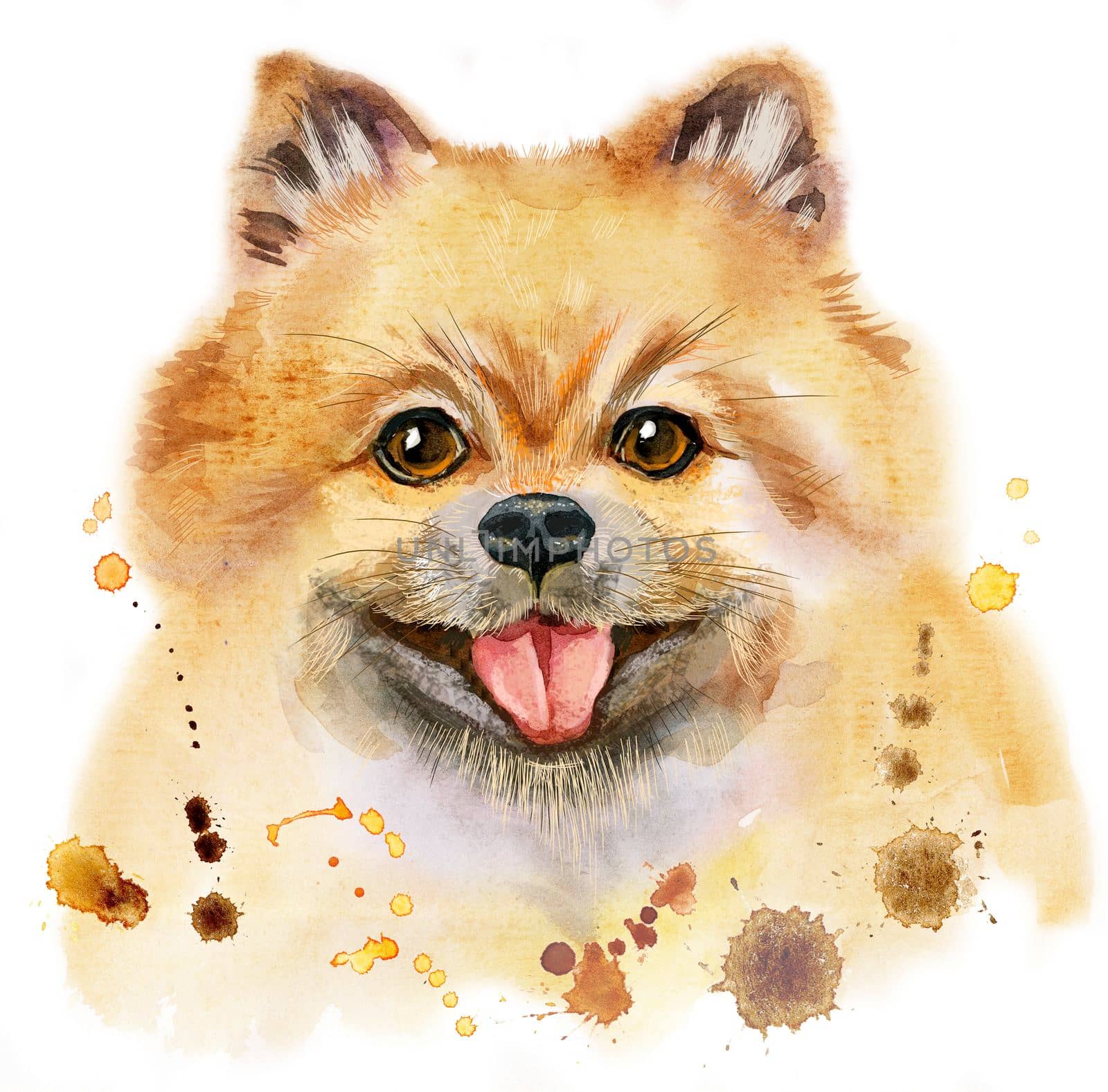 Watercolor portrait of dog pomeranian spitz by NataOmsk