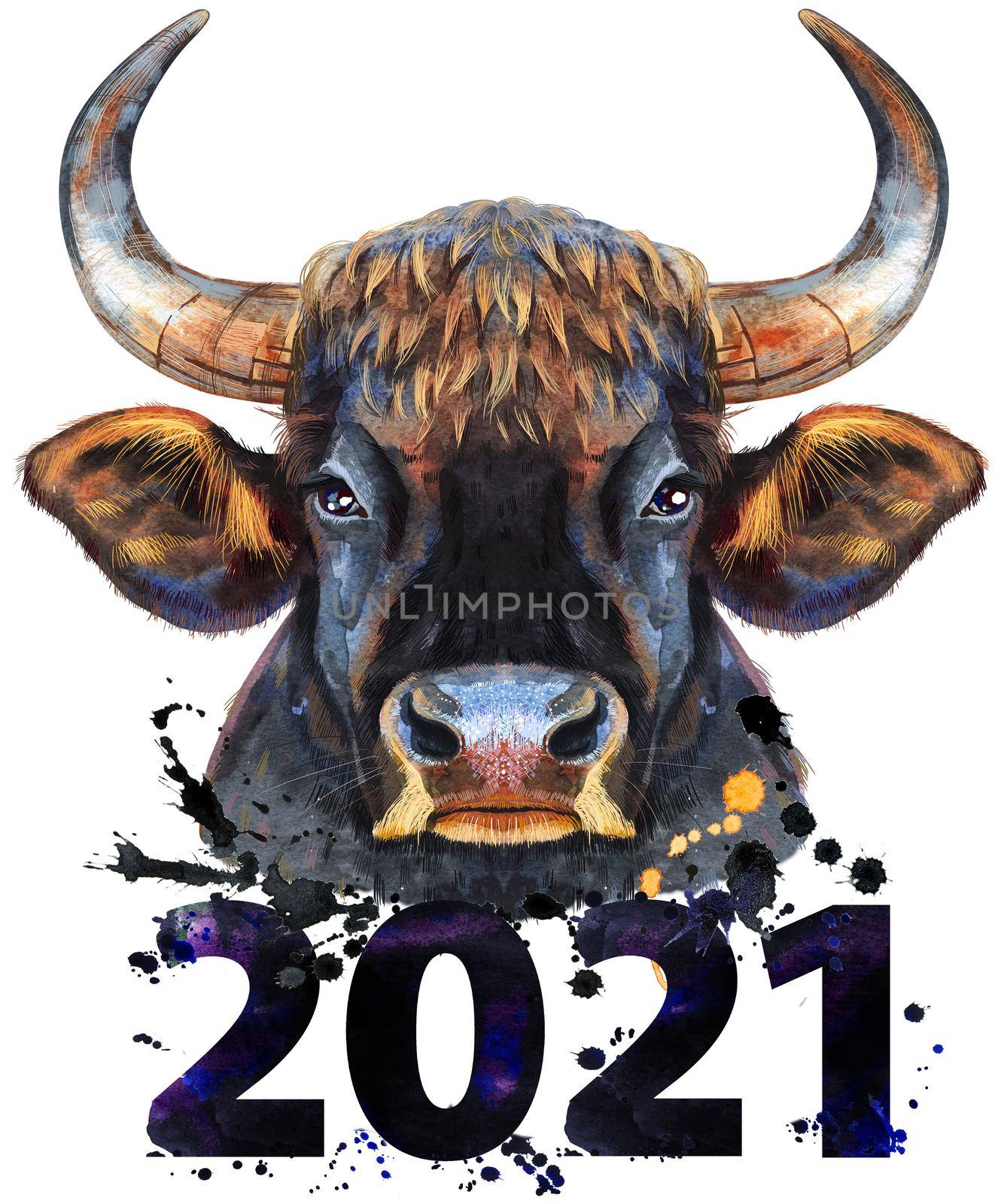 Black powerful bull with number 2021 watercolor graphics. Bull animal illustration with splash watercolor textured background.