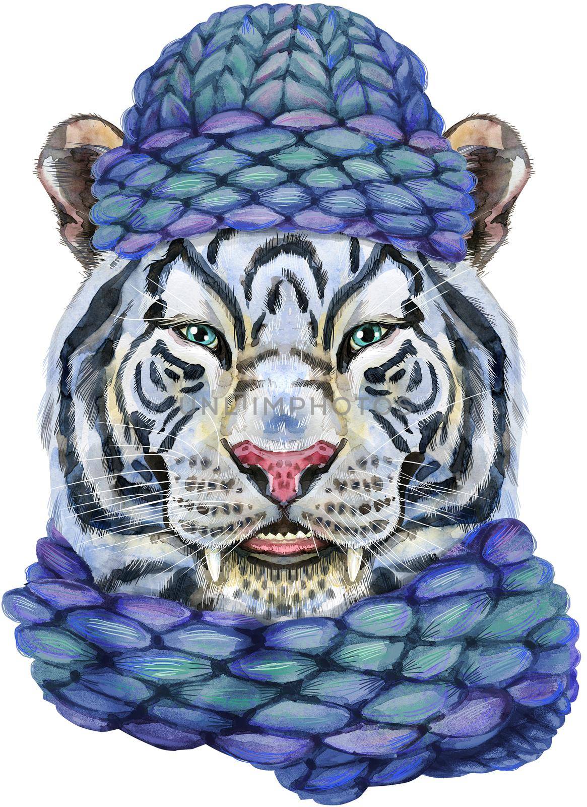 Colorful white smiling tiger in a blue knitted hat. Wild animal watercolor illustration on white background by NataOmsk