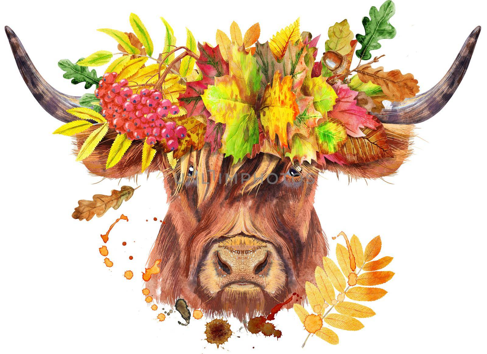 Bull in a wreath of autumn leaves watercolor graphics. Bull animal illustration with splash watercolor textured background.