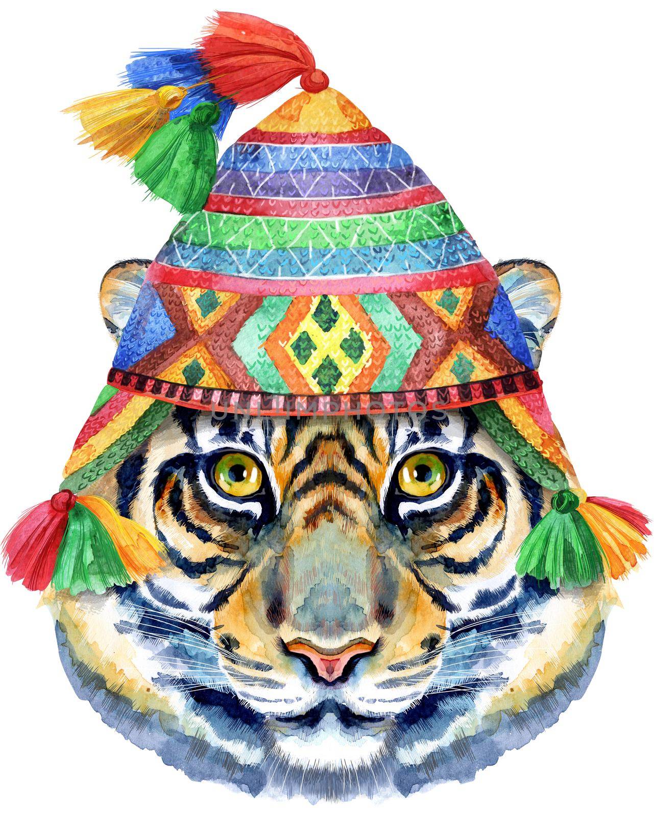 Tiger in chullo hat. watercolor illustration with splashes isolated on white background. by NataOmsk