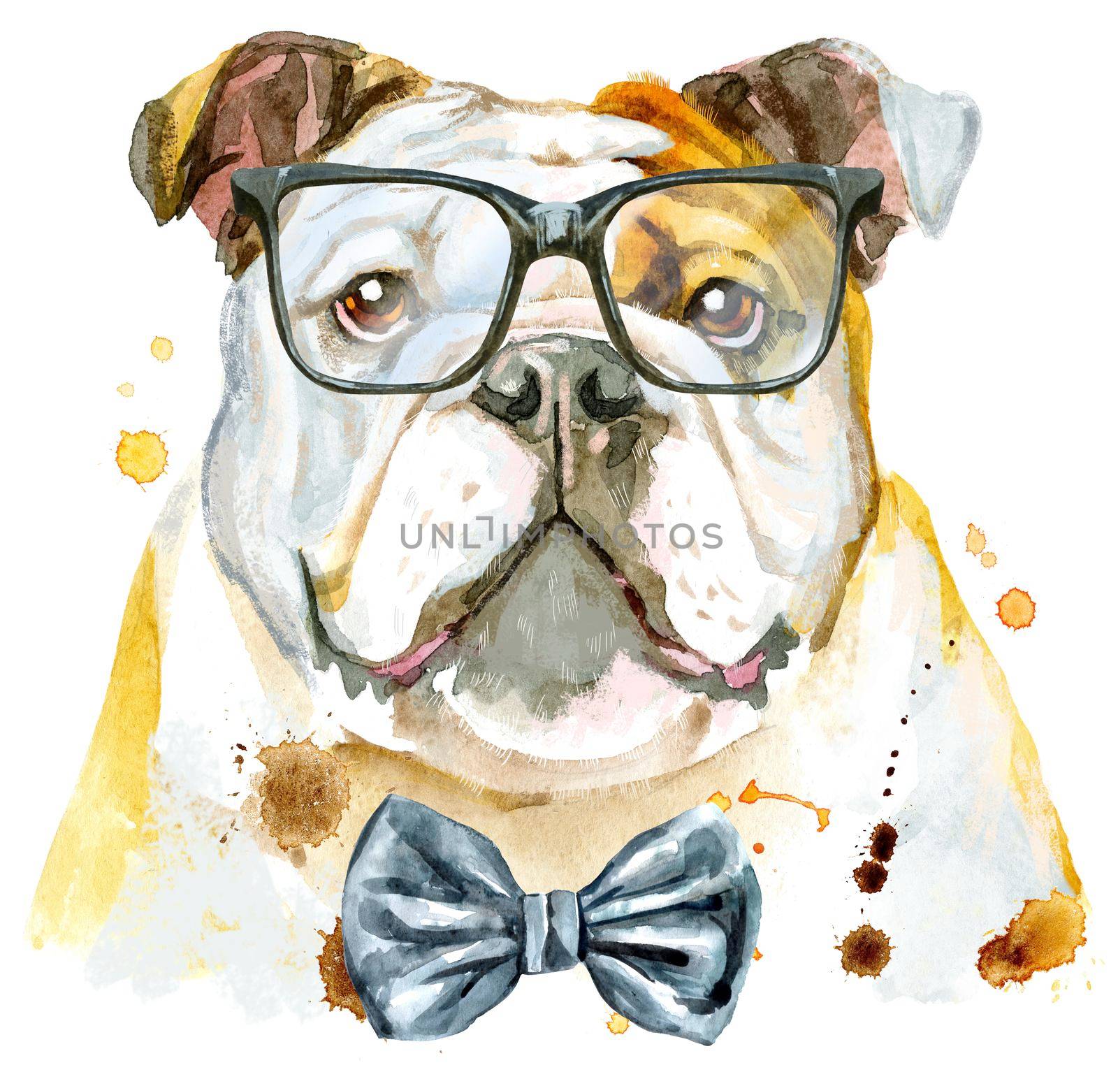 Watercolor portrait of bulldog with bow-tie and glasses by NataOmsk