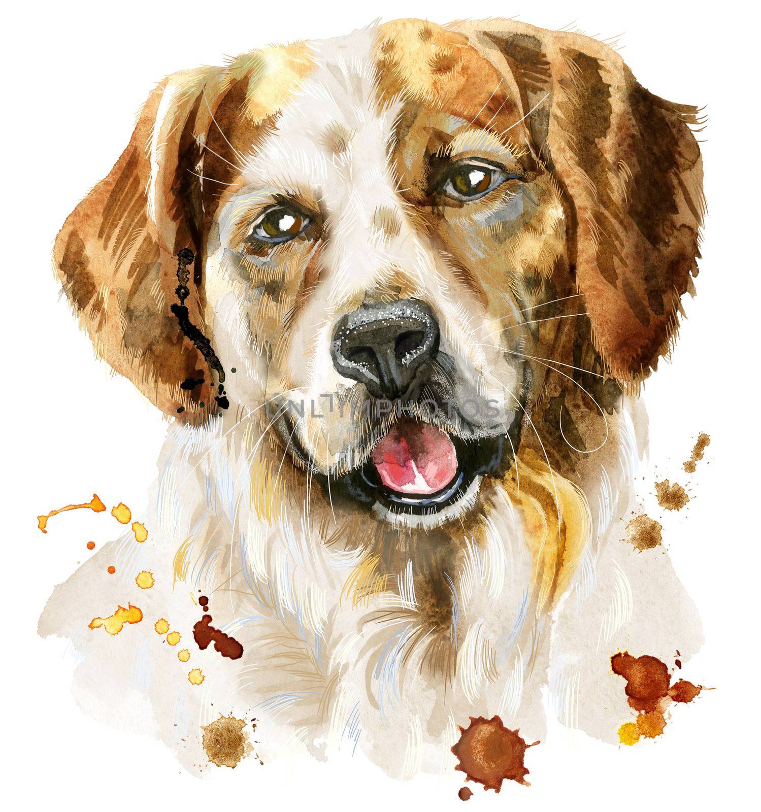 Watercolor portrait of tricolor dog with splashes by NataOmsk