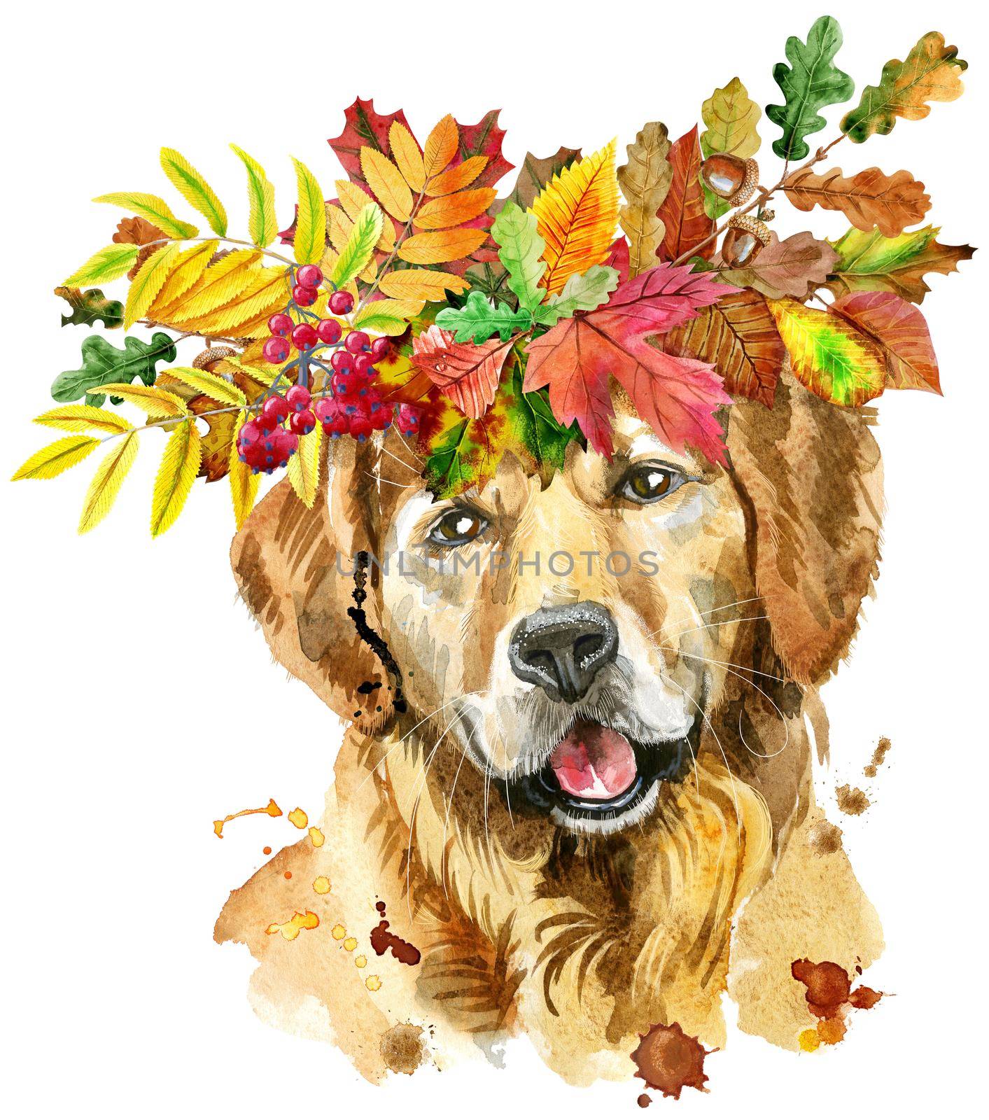 Cute Dog. Dog T-shirt graphics. watercolor golden retriever illustration in a Cute Dog with wreath of autumn leaves