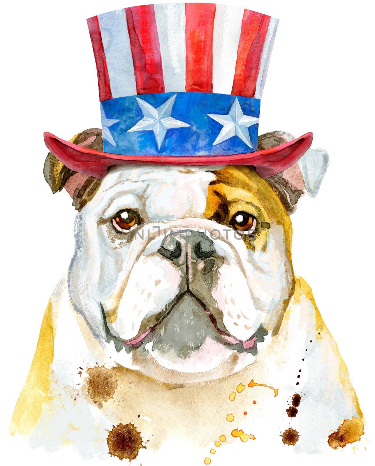 Funny Independence Day bulldog. Dog T-shirt graphics. watercolor Dog illustration