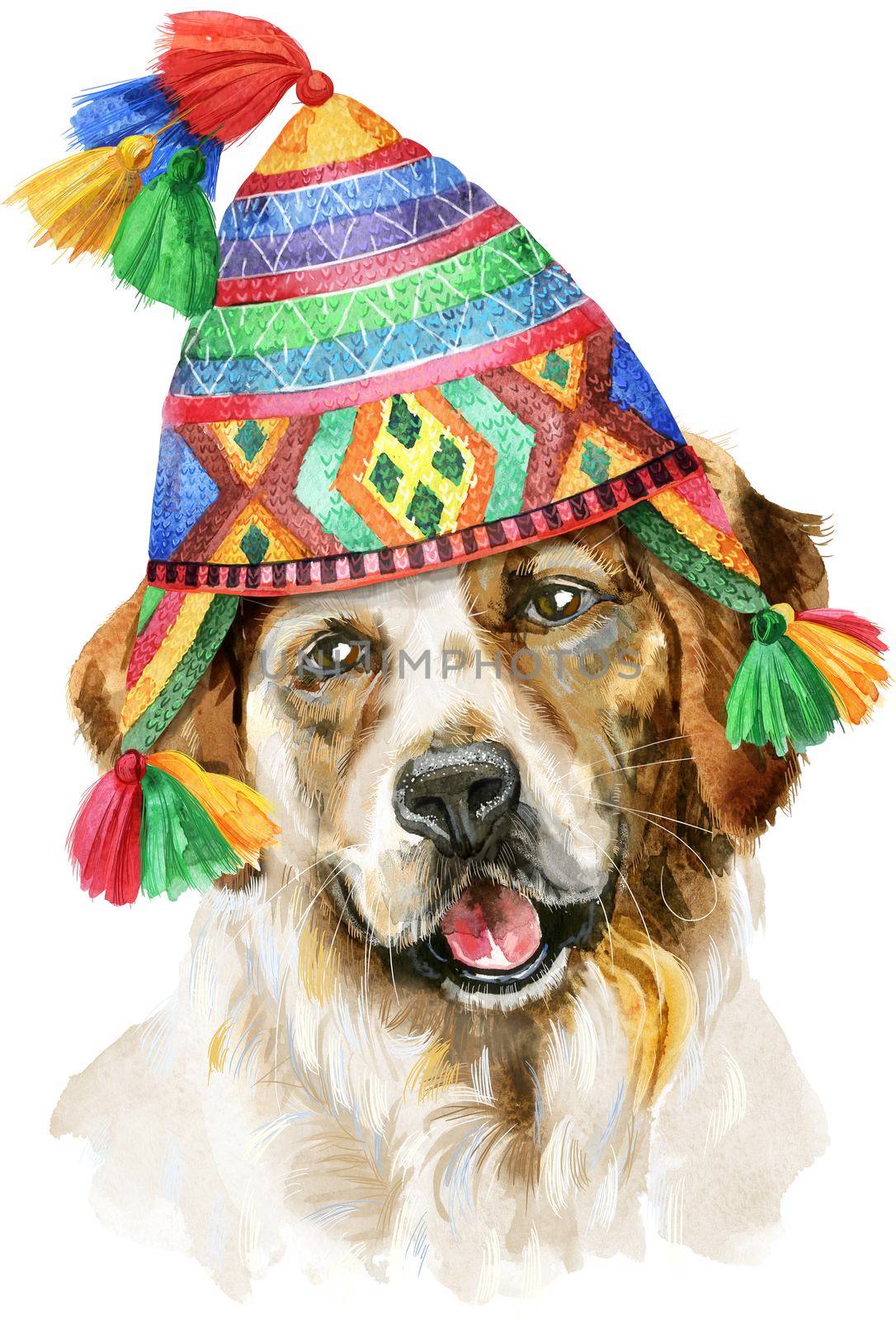 Cute Dog in chullo hat. Dog T-shirt graphics. watercolor tricolor dog illustration