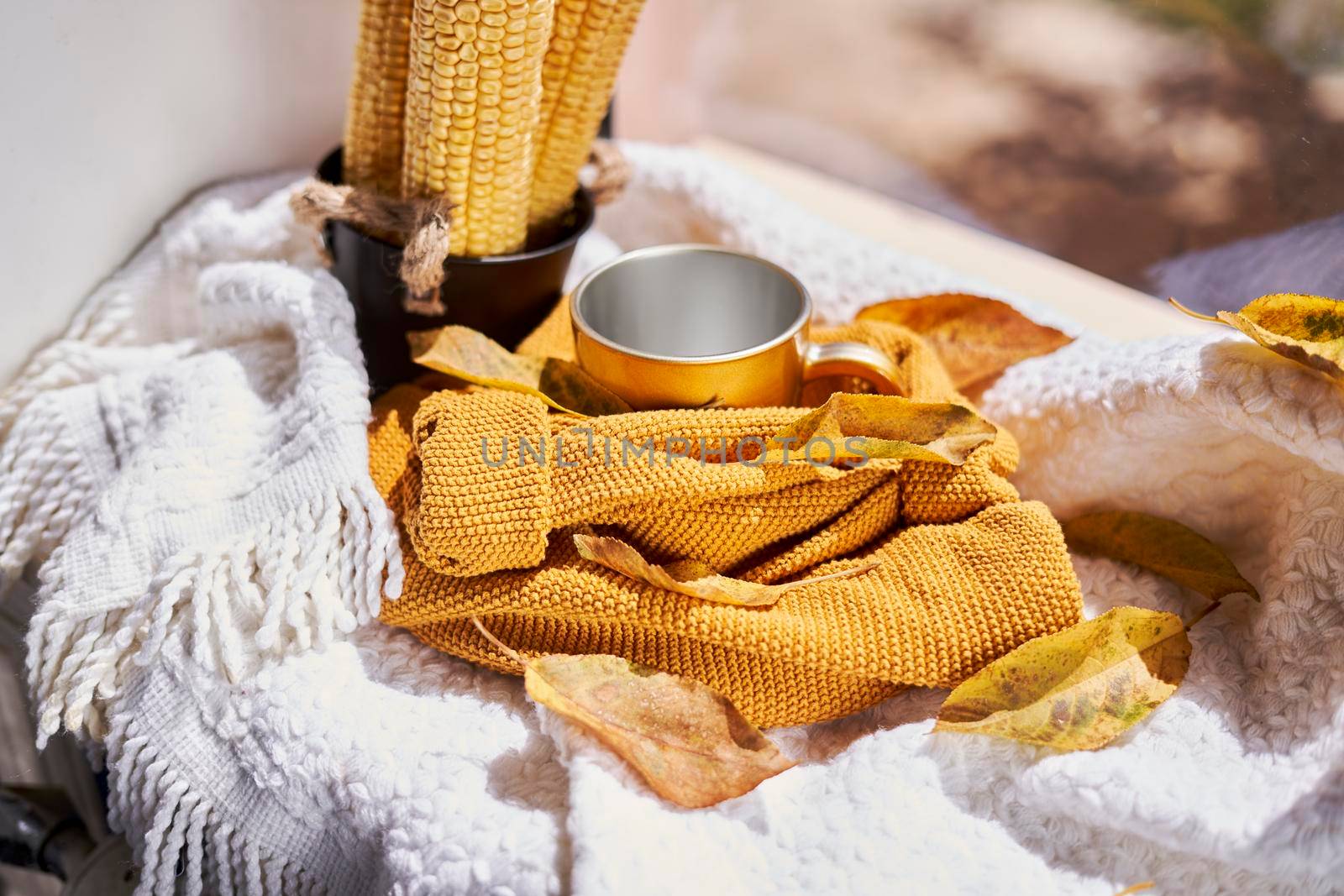 Corns, autumn leaves, pine cones and coffee cup on windowsill. Creative autumnal background near the windows in a sunny autumn day