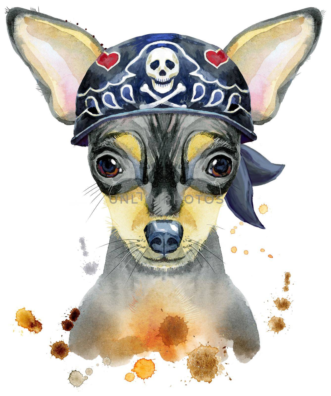 Cute Dog wearing biker bandana. Dog T-shirt graphics. watercolor toy terrier illustration