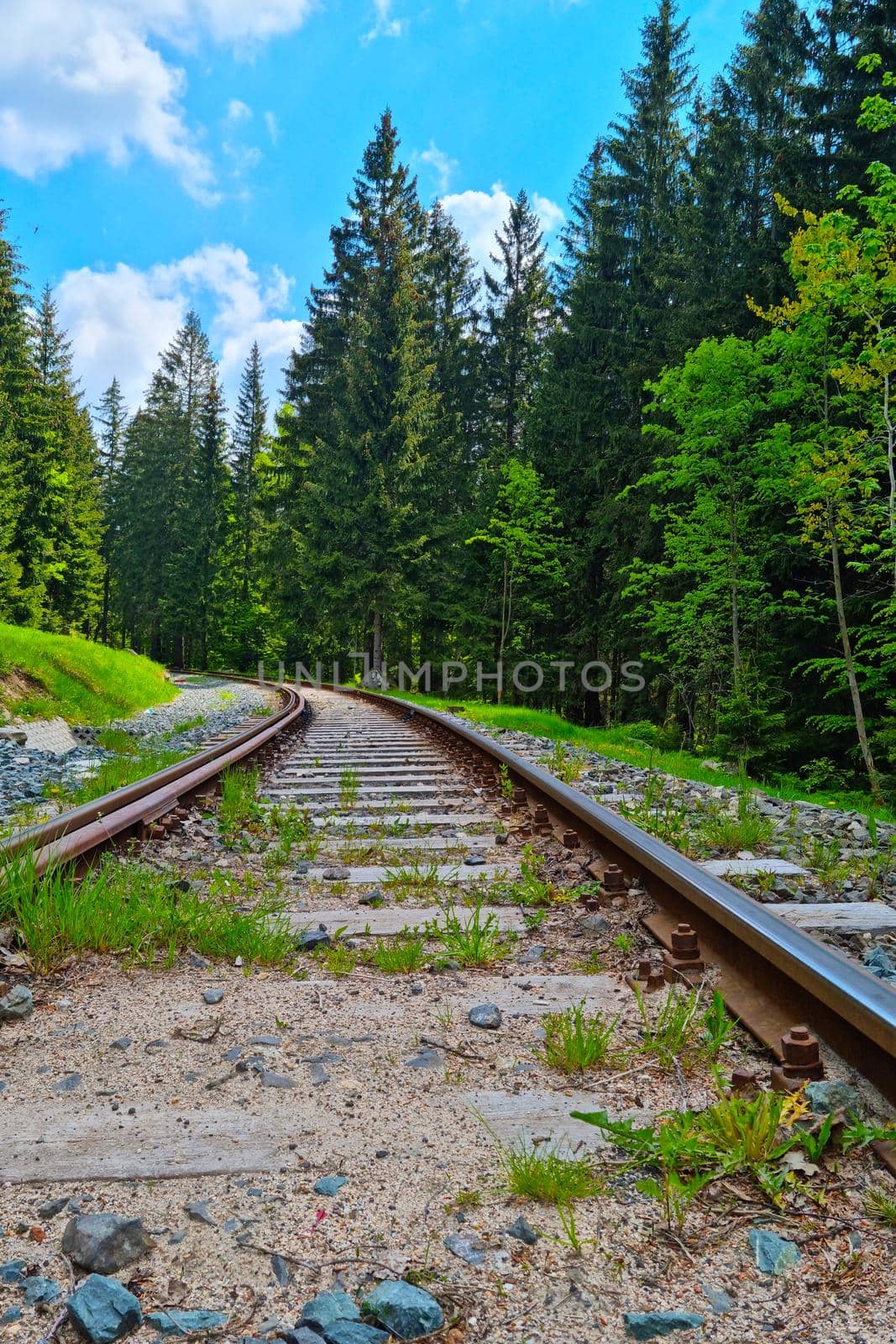 The picturesque railway passes through a green forest