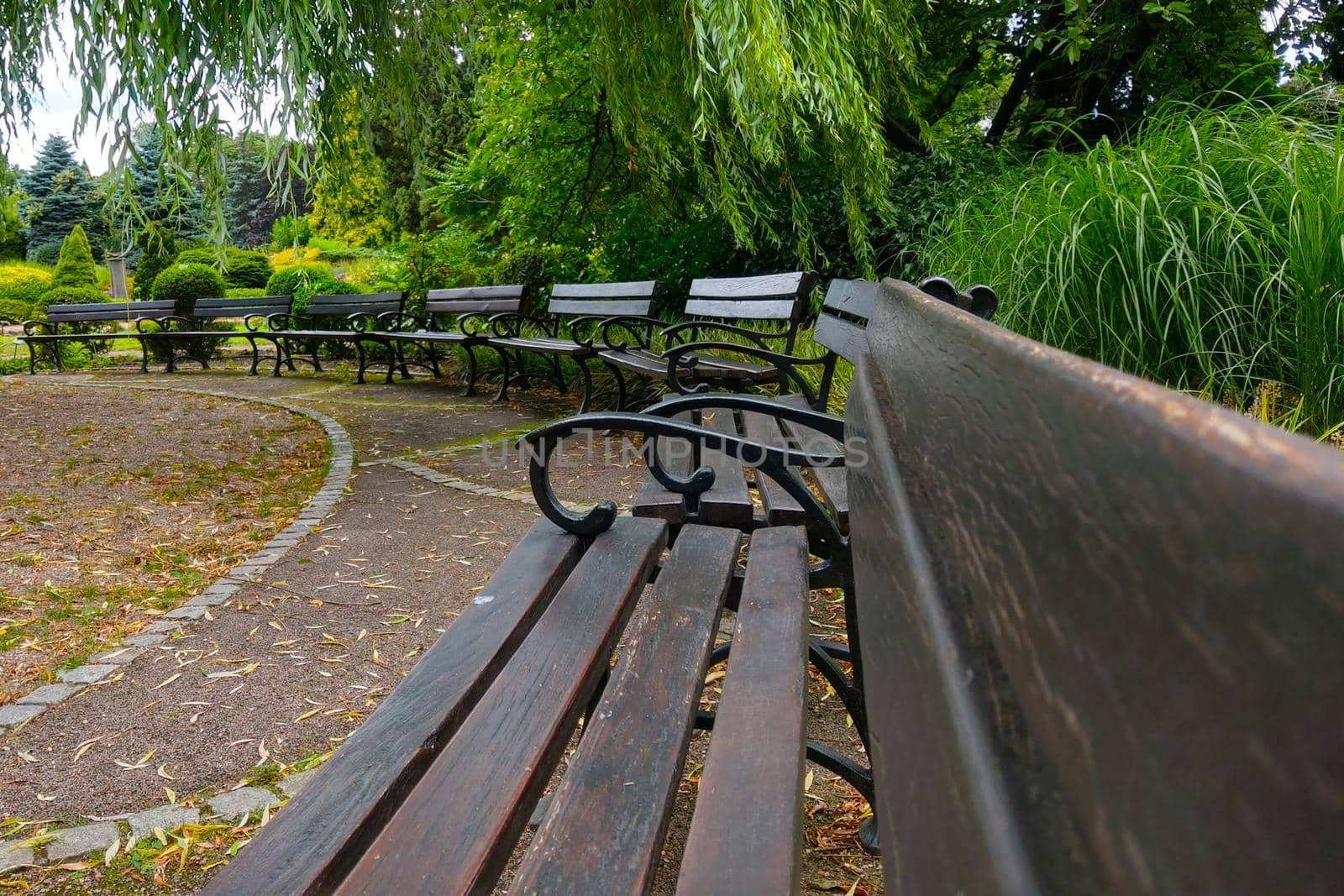 A large long empty park bench. Empty because of the coronavirus. by kip02kas