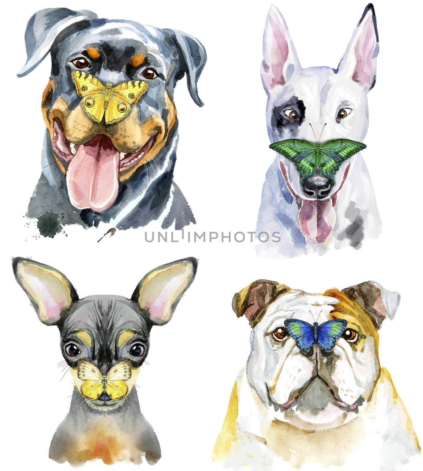 Set of watercolor portrait of dogs with butterflies on its nose by NataOmsk