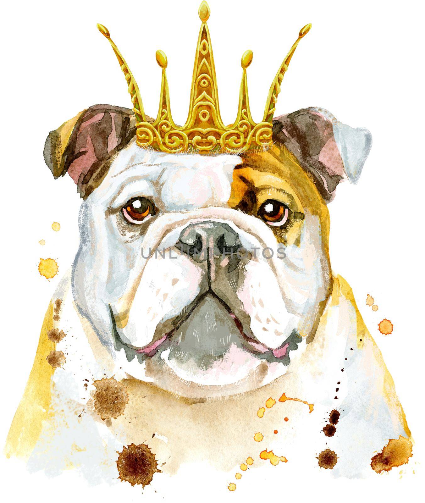 Cute Dog with golden crown. Dog T-shirt graphics. watercolor Dog illustration